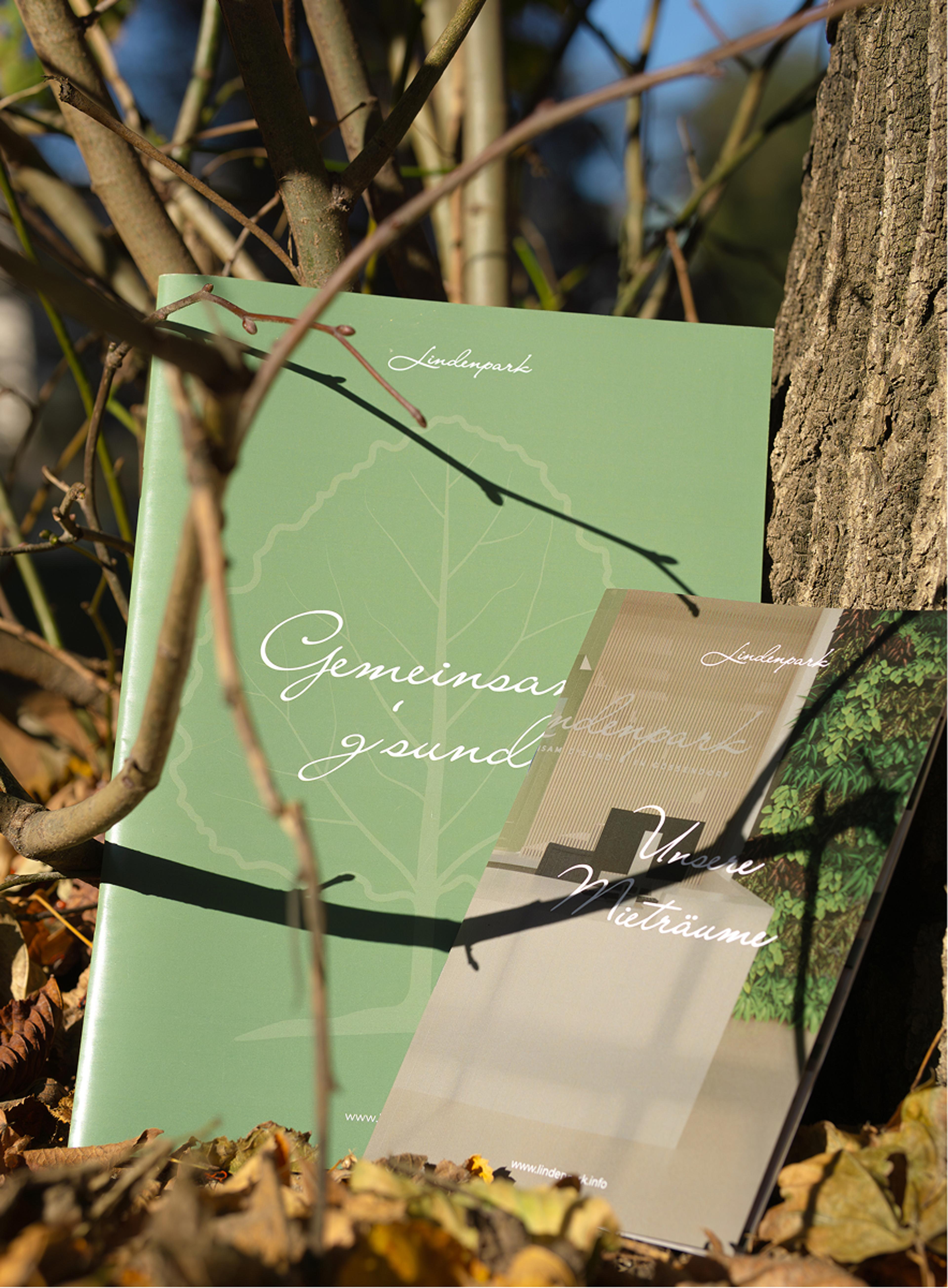 Lindenpark Broschüre und Mietraumbroschüre in der Natur