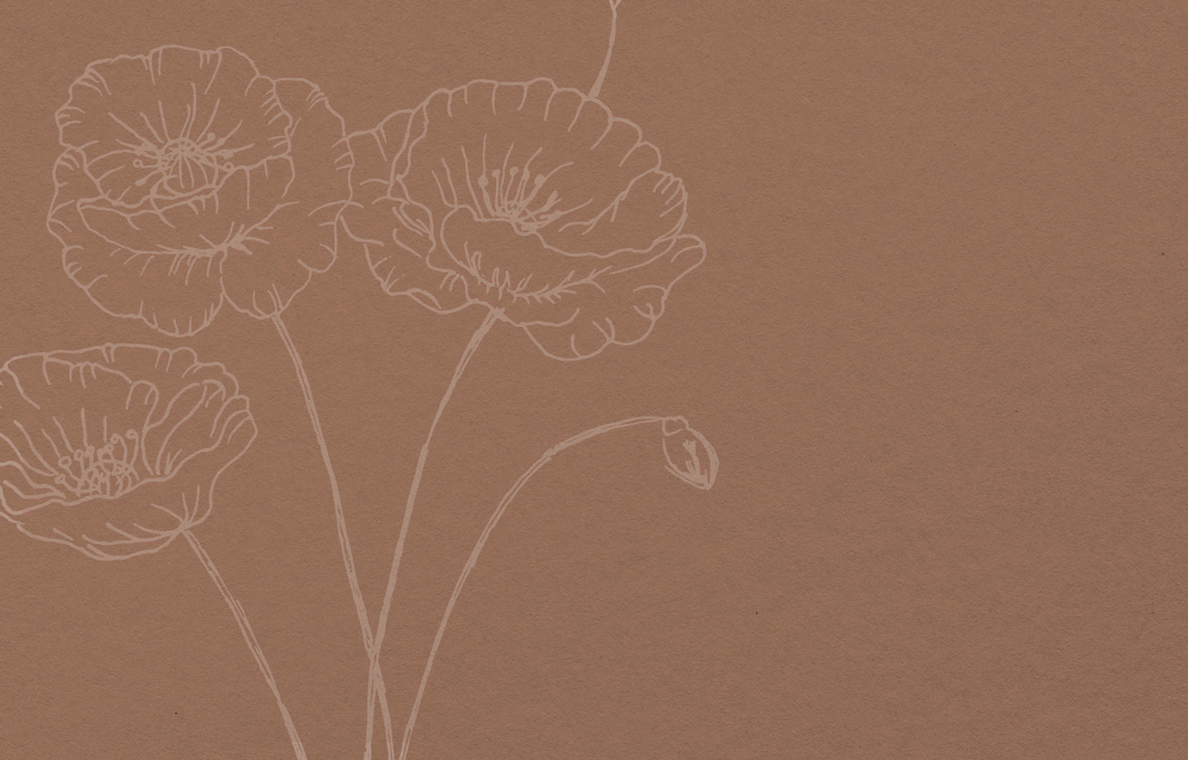 Braunes Hintergrundbild mit weißen Blumen