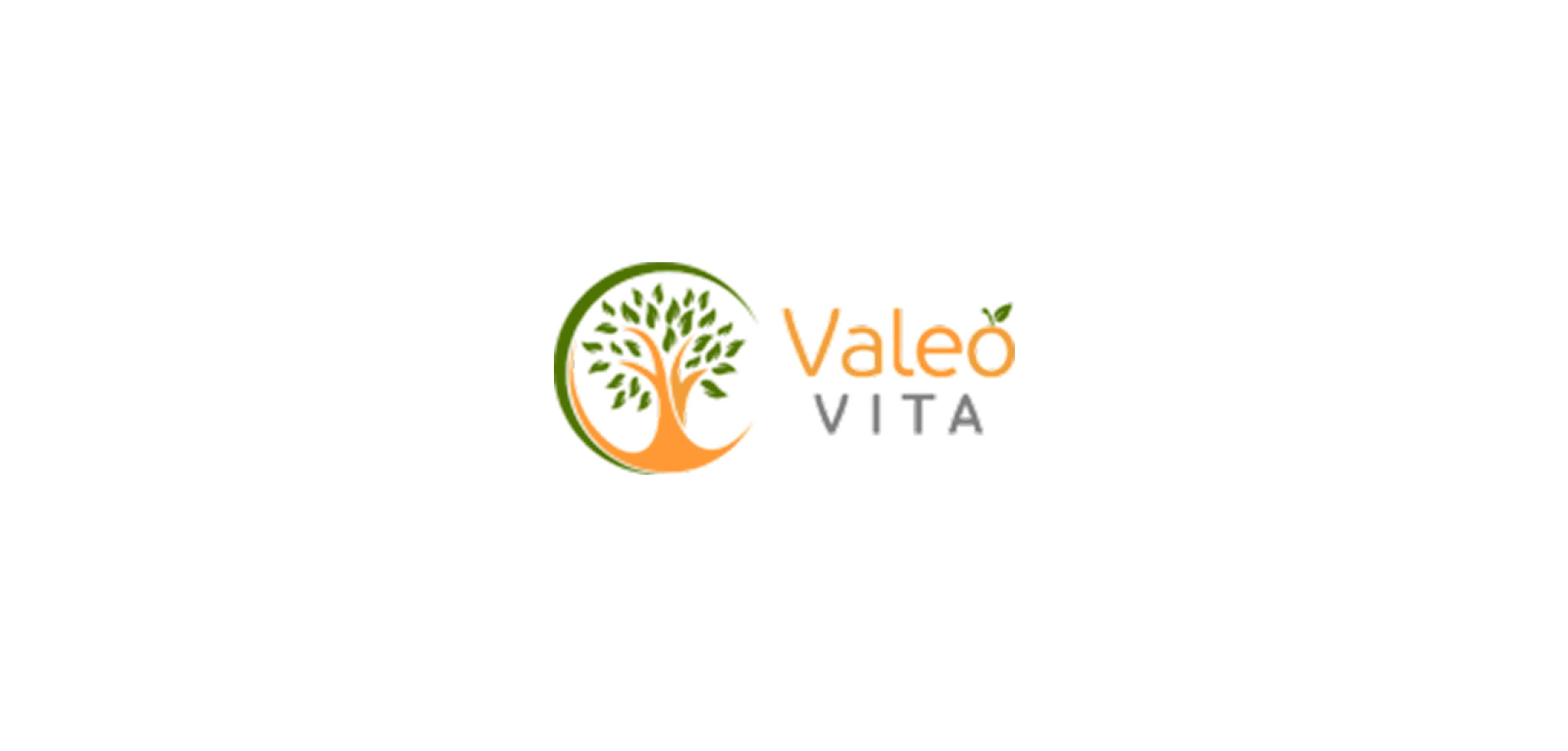 Valeo Vita altes Logo