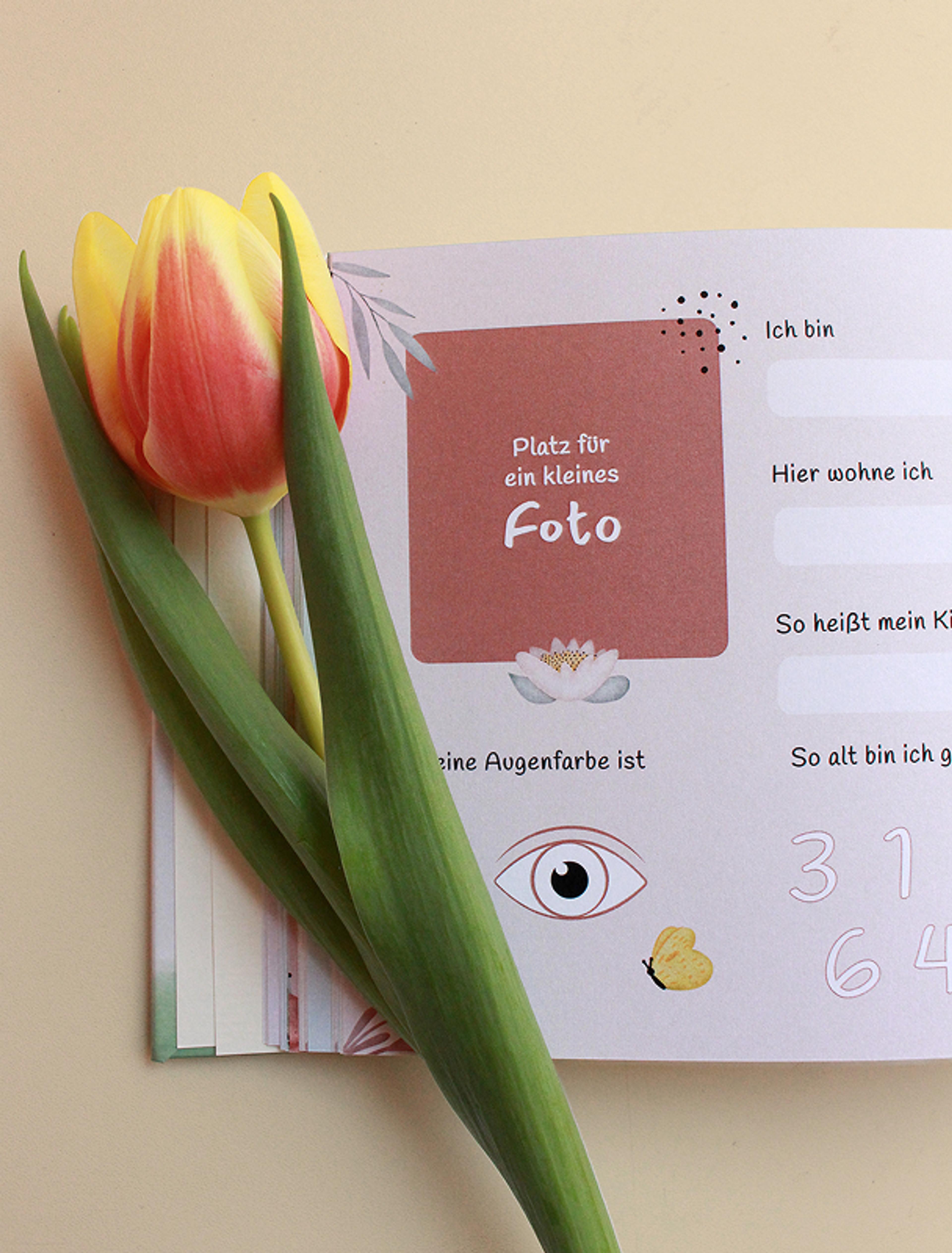 Steckbriefseite mit Foto-Platz – Eine persönliche Seite des Freundschaftsbuchs mit Platz für ein kleines Foto, begleitet von Illustrationen und handgezeichneten Details.