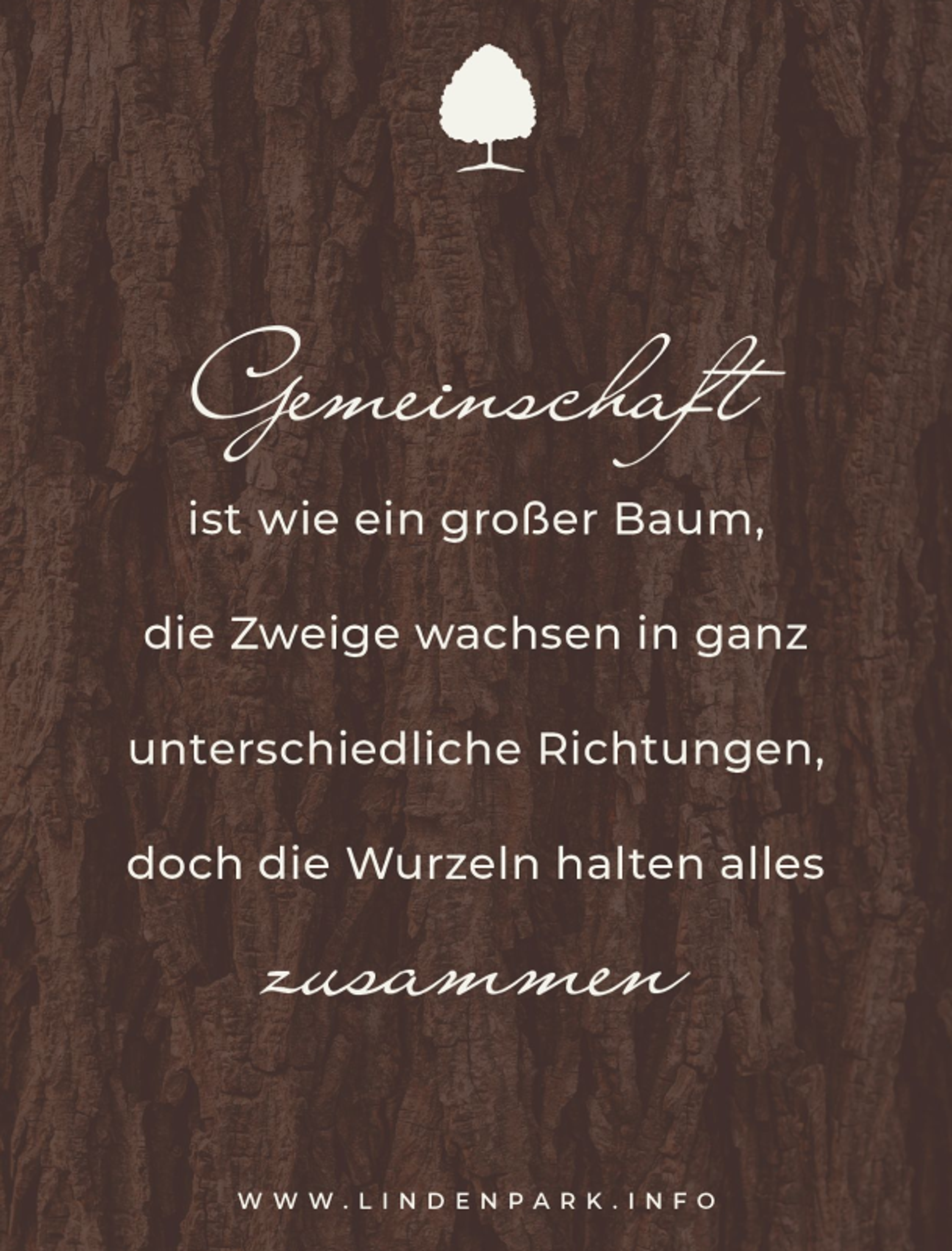 Logo & Grundkonzept BUCHER BRAND MARKETING e.U. Zitat auf Holzoptik mit dem Thema Gemeinschaft, gestaltet für das Lindenpark Gesundheitszentrum von Unerwartet Design. "Gemeinschaft ist wie ein großer Baum, die Zweige wachsen in ganz unterschiedliche Richtungen, doch die Wurzeln halten alles zusammen."