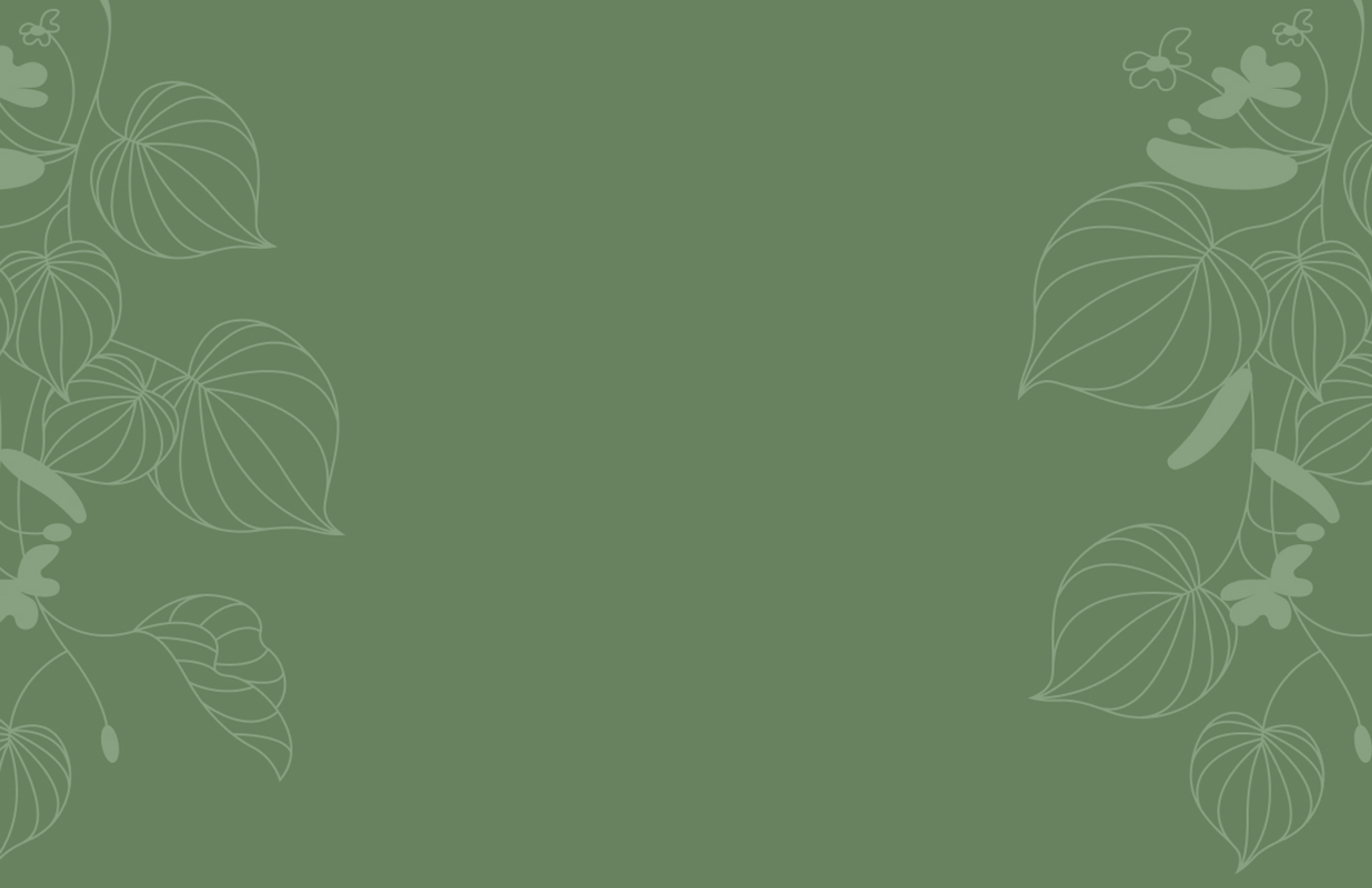 Grüner Hintergrund mit Lindenblatt Illustrationen - gestaltet von Unerwartet Design in Graz, Österreich.