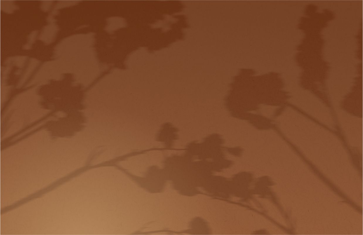 Hintergrundbild in braun mit Schatten von Pflanzen für das Kunterbunter Weg Testimonial