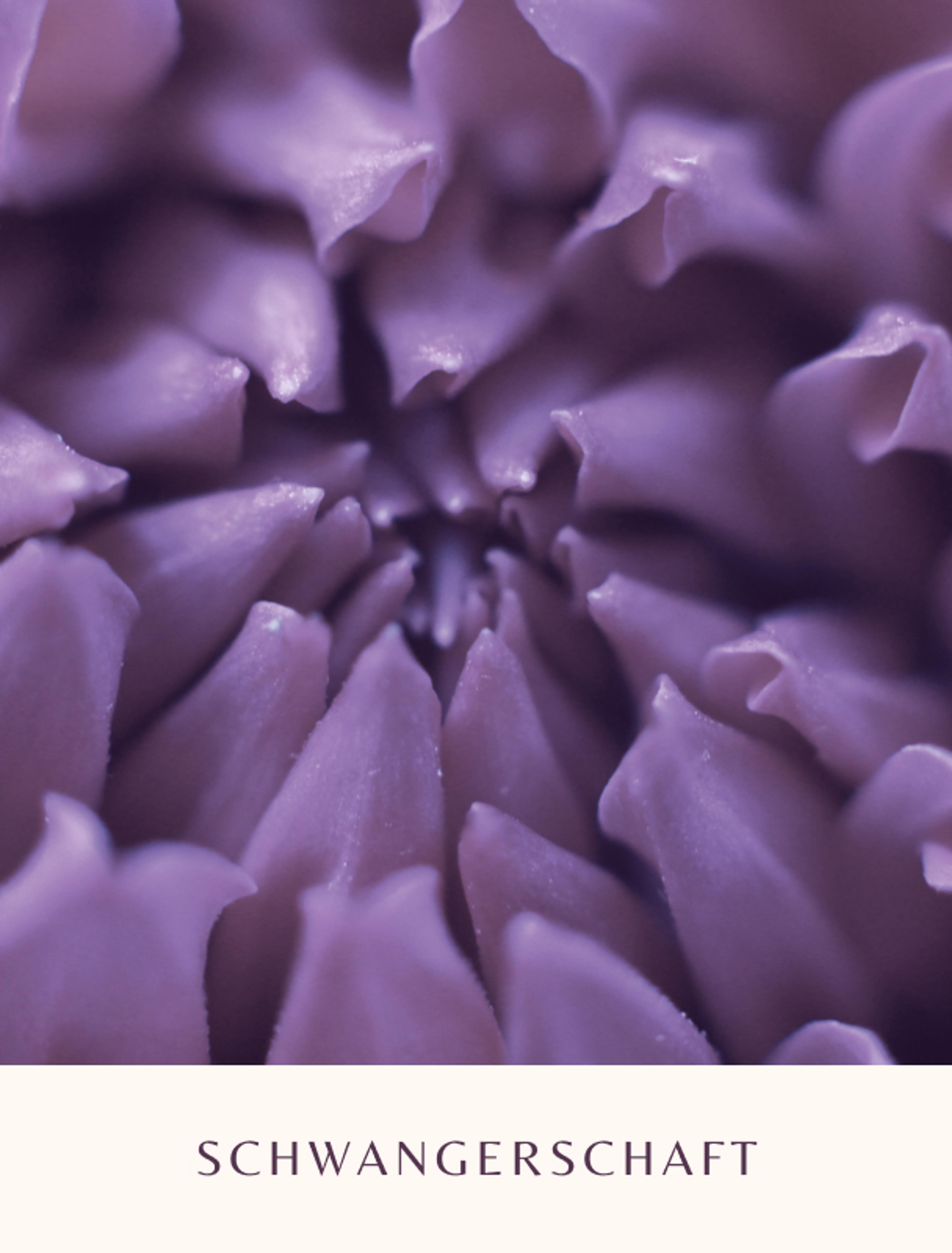 Nahaufnahme einer lilafarbenen Blüte, gestaltet von Unerwartet Design Graz für das Branding von Dr. Gerhild Weiß, um Sanftheit und die Geburt neues Lebens während der Schwangerschaft zu symbolisieren.