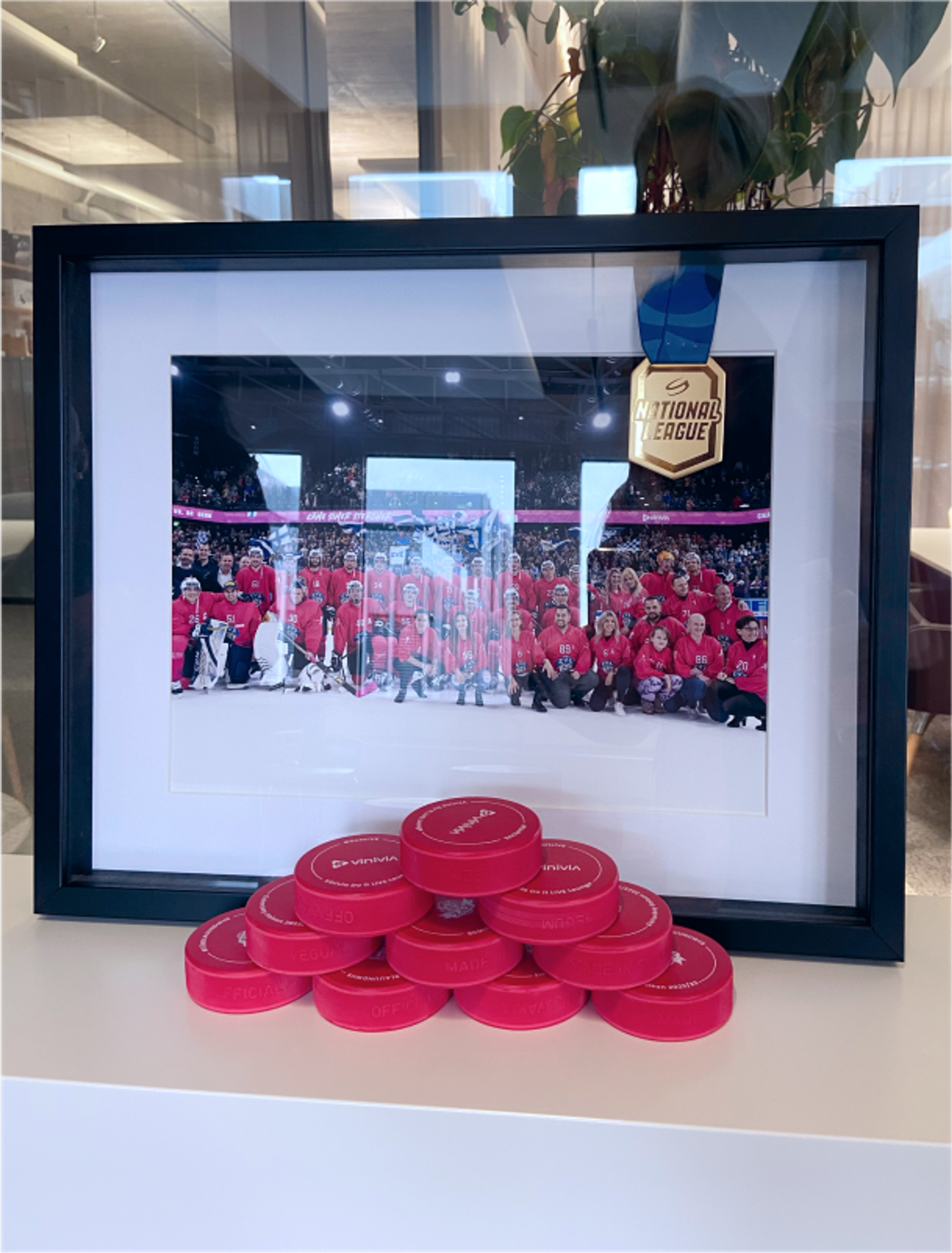 Präsentation eines gerahmten Fotos des EVZ-Teams, ergänzt durch gestapelte rote Pucks, ausgestellt im Vinivia-Büro in der Schweiz – Unerwartet Design