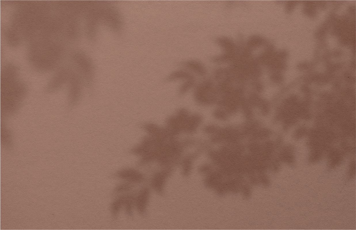 Braunes Hintergrundbild mit Schatten einer Pflanze