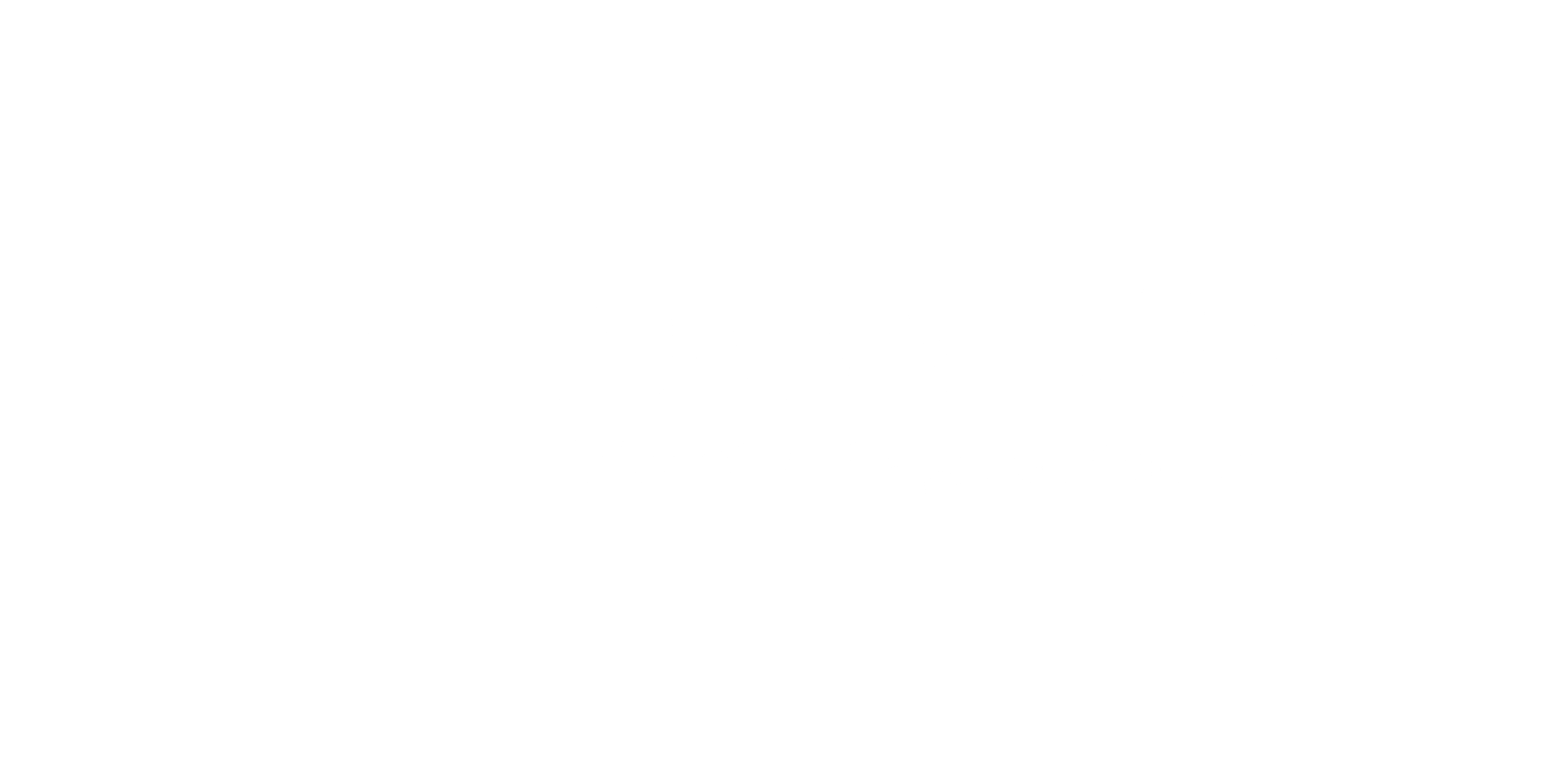FH Joanneum logo white