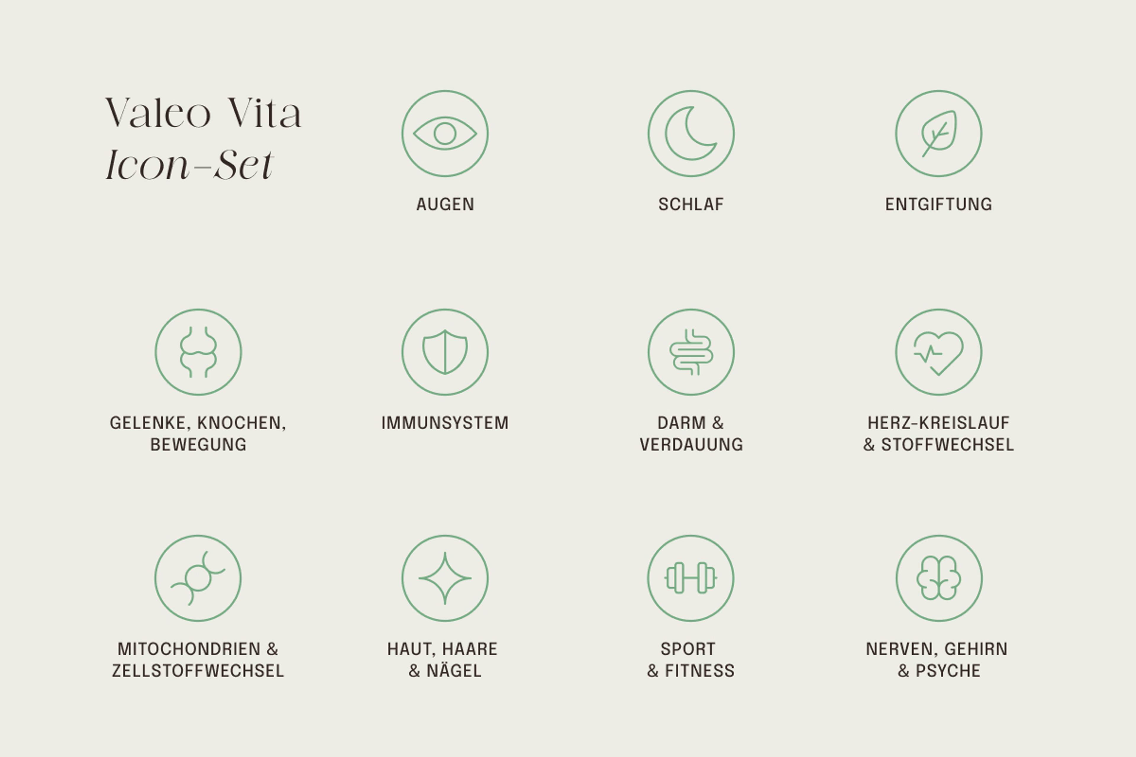 Valeo Vita Icon-Set Design