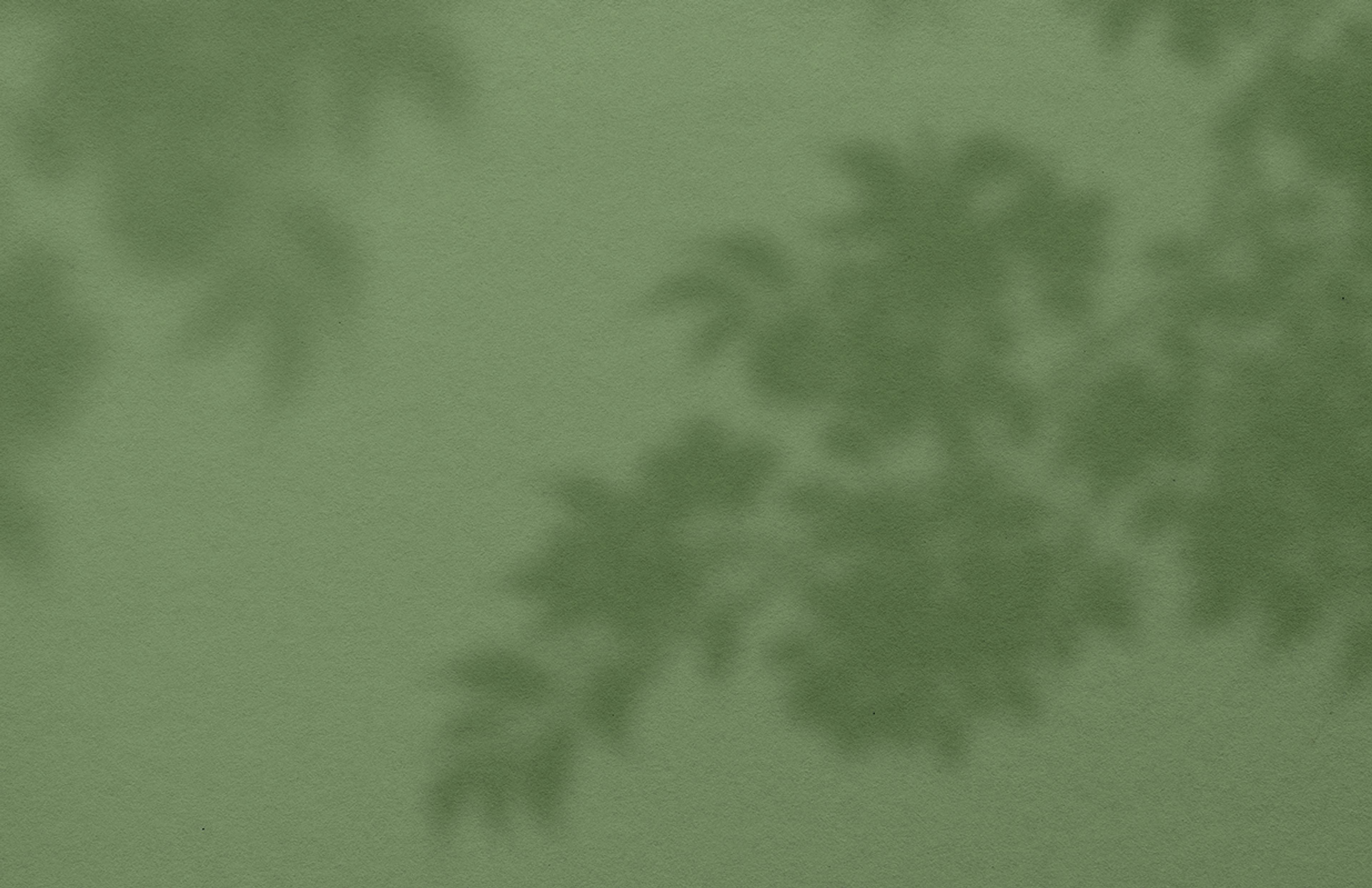 Hintergrund mit Pflanzen-Schatten