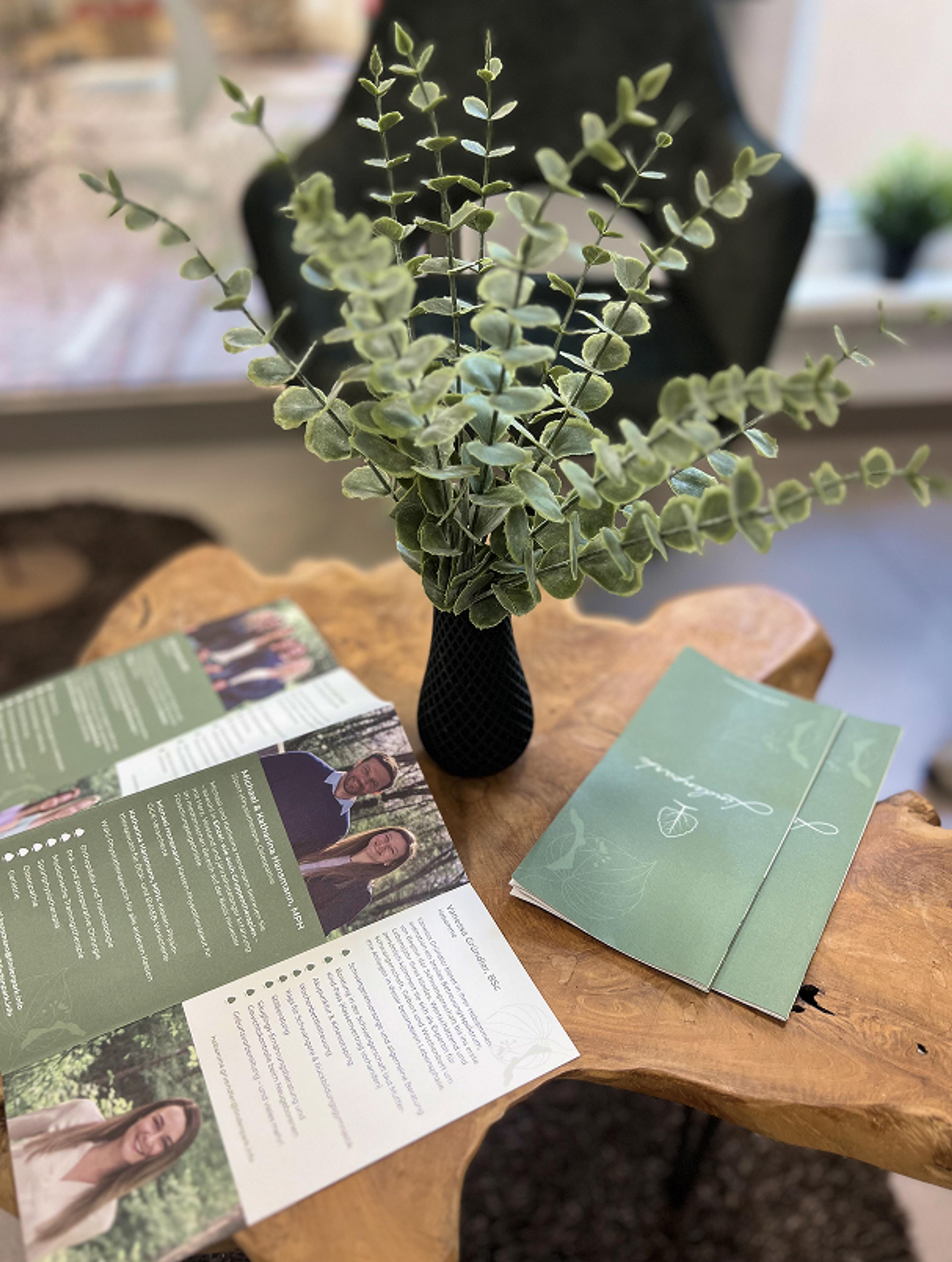 Gedruckte Materialien für Vanessa Gründler – grüne Imagebroschüren auf Holztisch mit Eukalyptus. Natürliches & sanftes Branding, gestaltet von Unerwartet Design. Teil von dem Lindenpark branding Projekt.