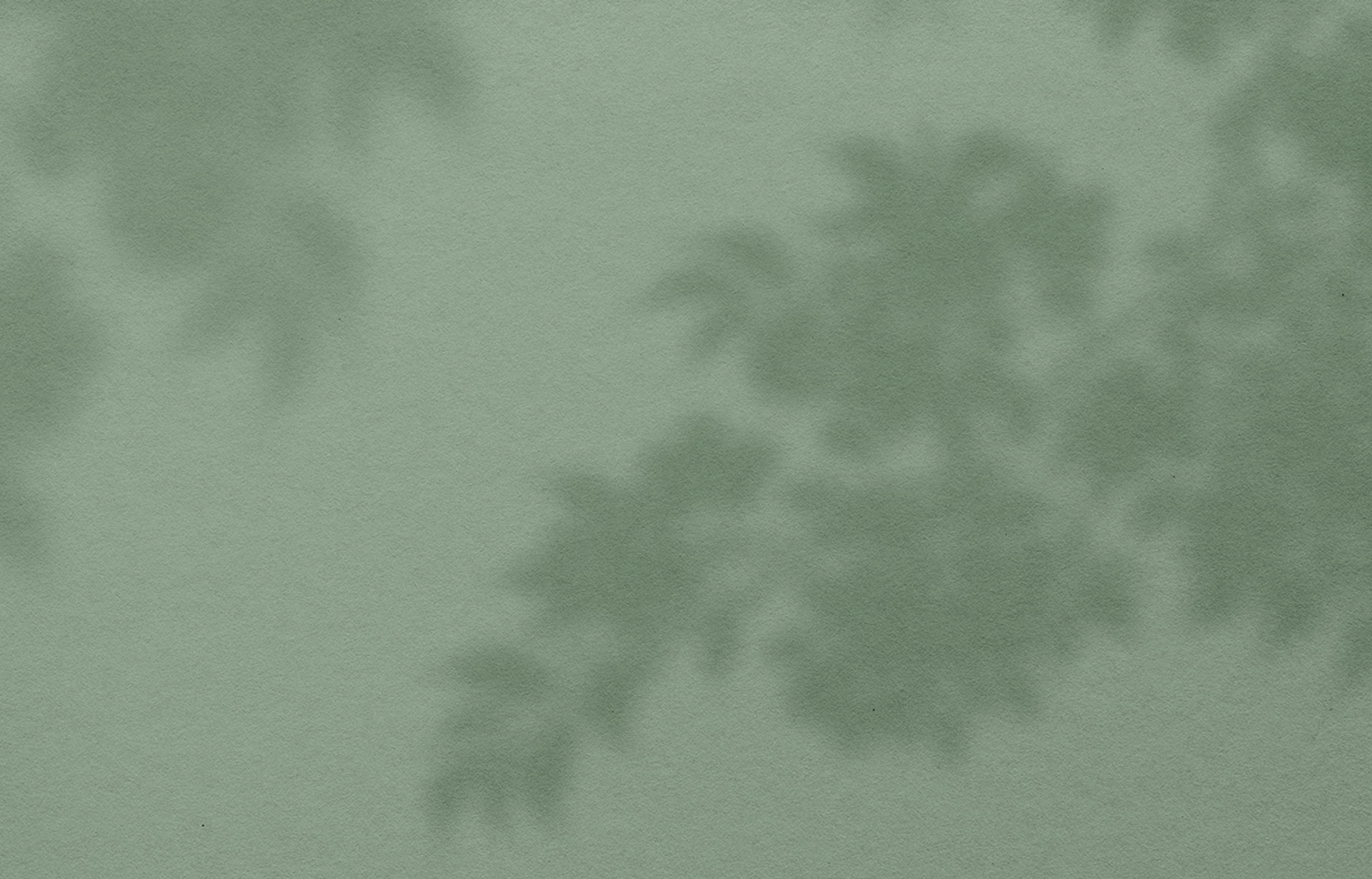 Hintergrundbild für das Testimonial von Dr. med. Gerhild Weiß in grün und den Schatten von Pflanzen.