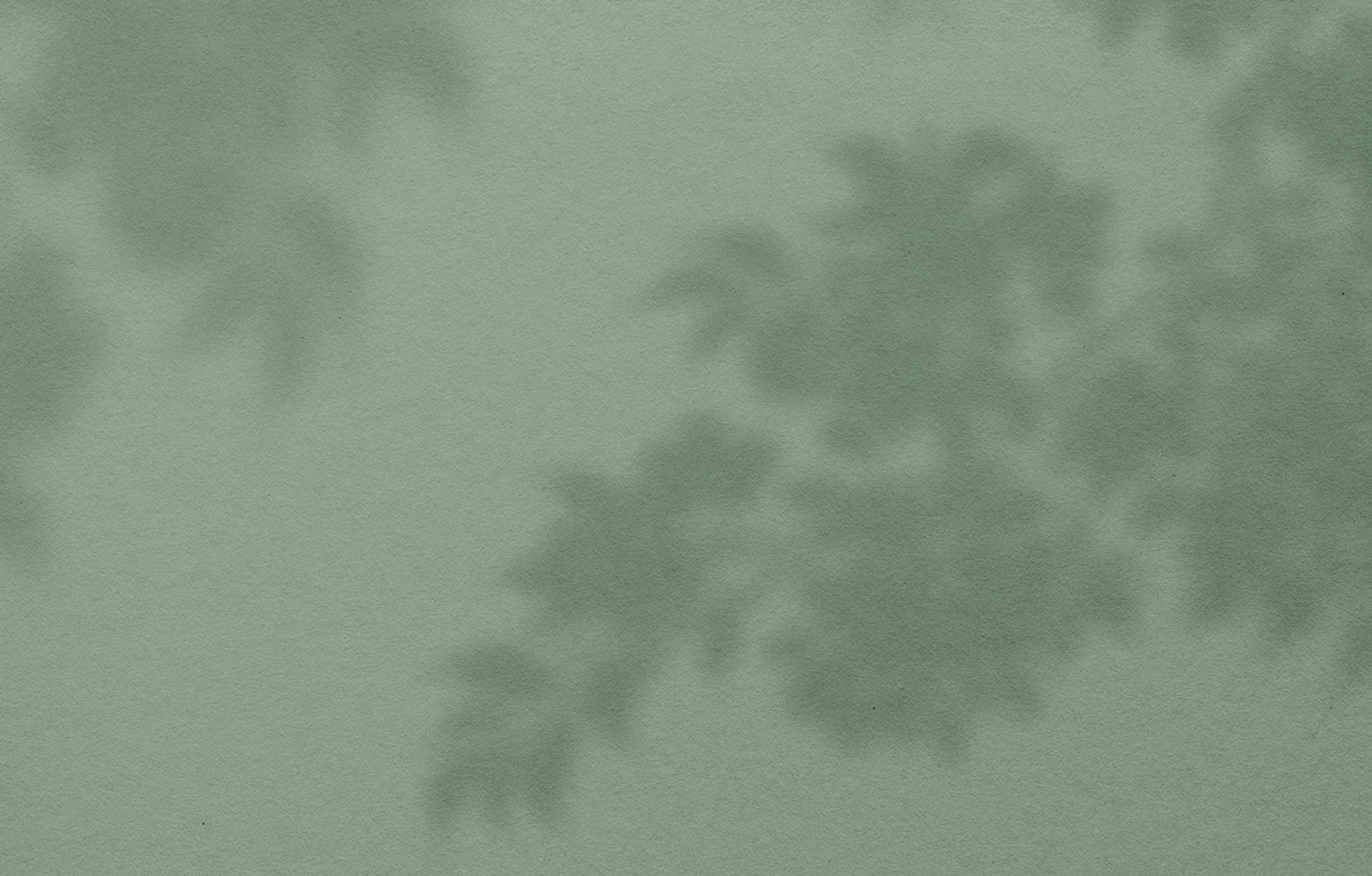 Hintergrundbild für das Testimonial von Dr. med. Gerhild Weiß in Grün und den Schatten von Pflanzen.