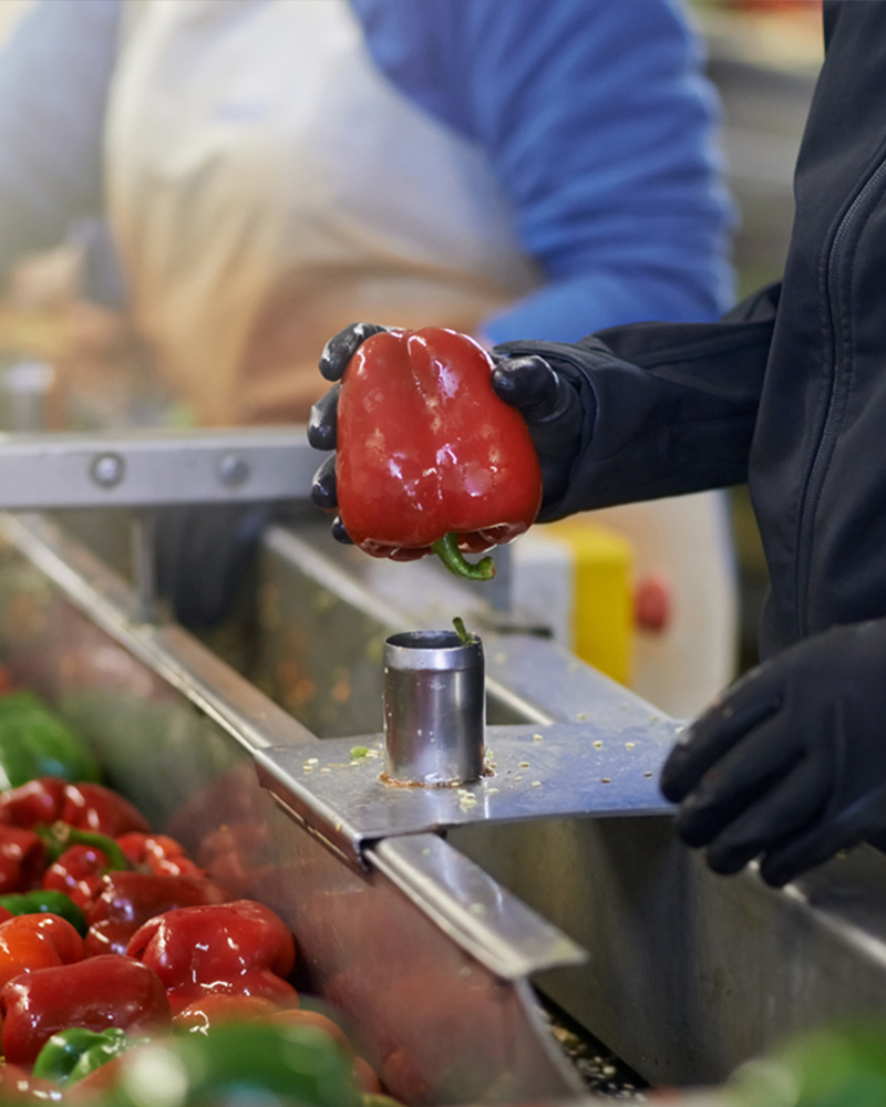 Alimentos y bebidas