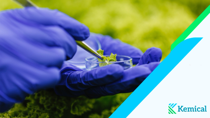 Control de biofilmes: De la corrección a la prevención