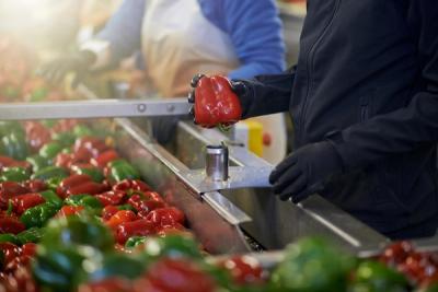 Planta de Alimentos y Bebidas