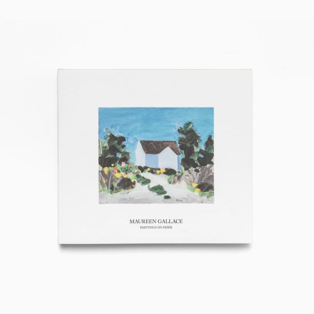 Maureen Gallace: Paintings on Paper