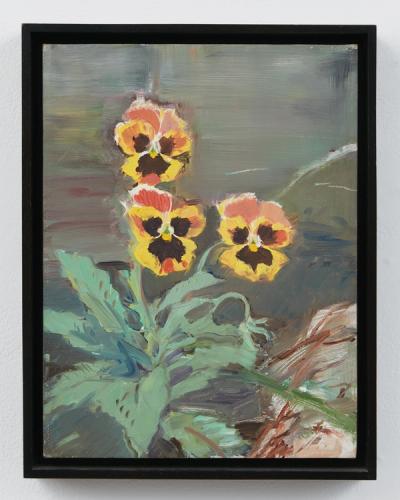 pansies