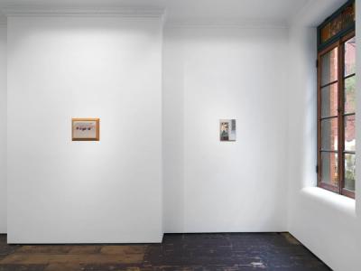 install view