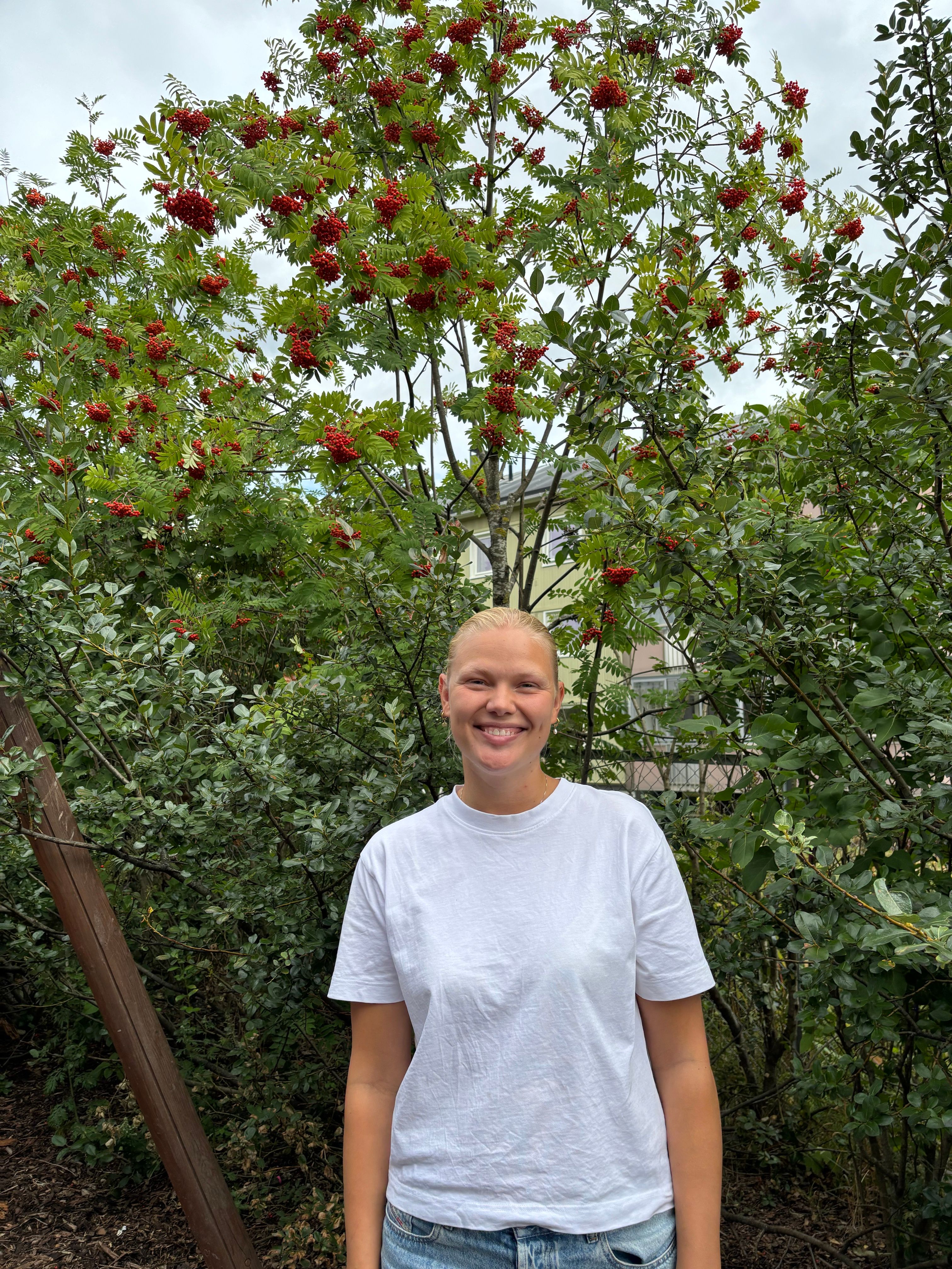 Alvilde