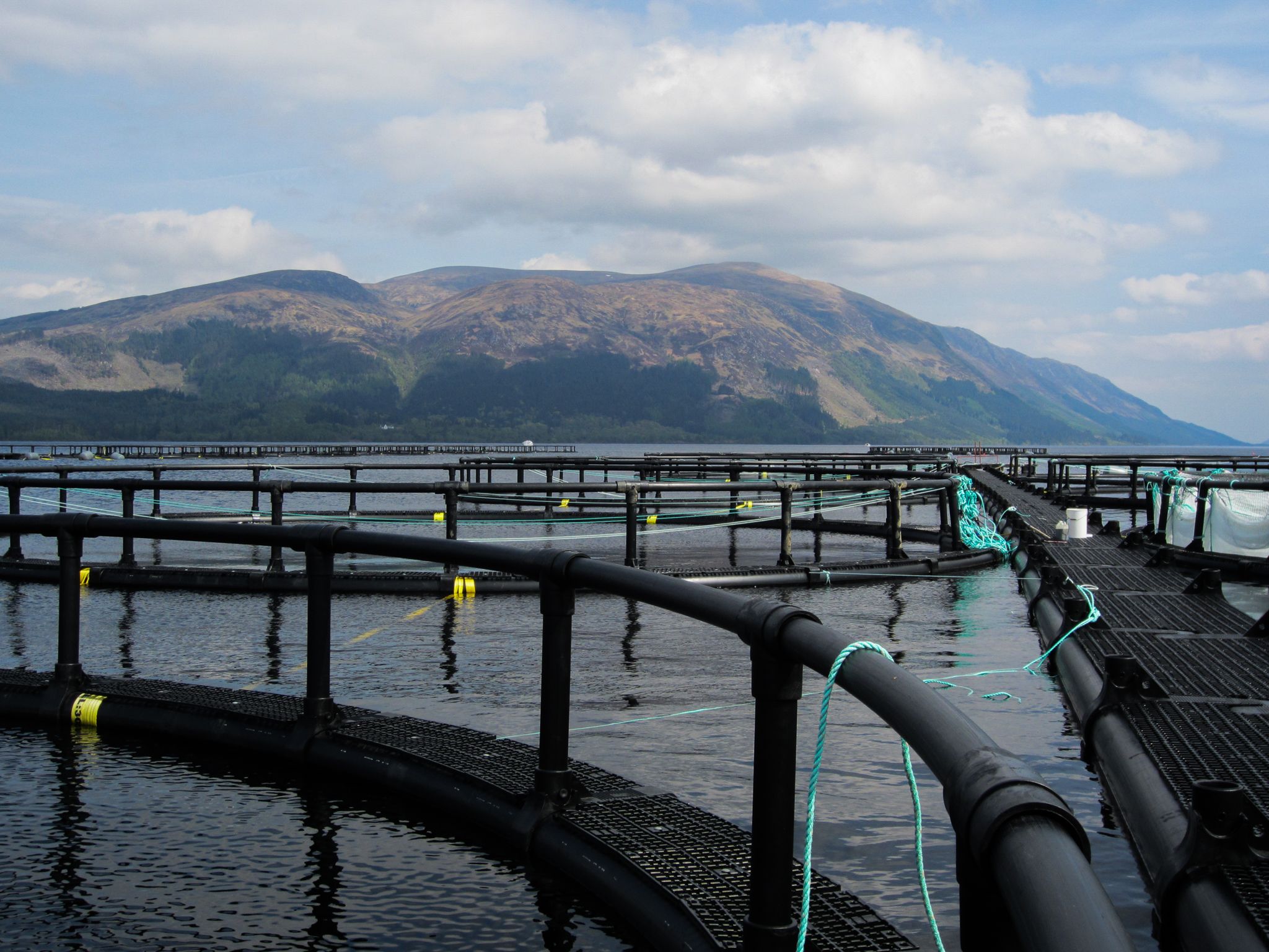 Floating work platform installed between fish pens, providing a stable and safe surface for daily aquaculture operations in exposed coastal conditions.