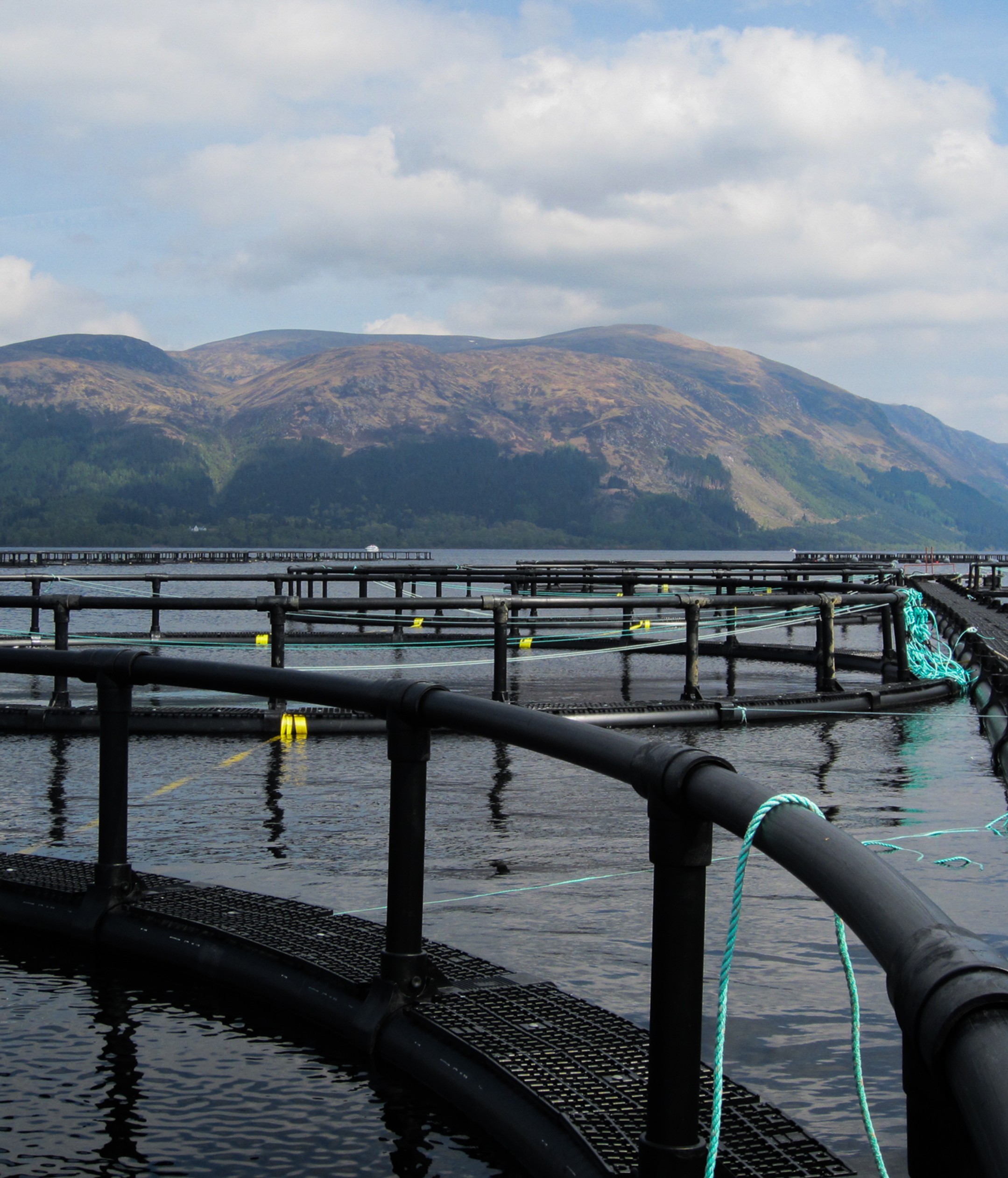 Floating work platform installed between fish pens, providing a stable and safe surface for daily aquaculture operations in exposed coastal conditions.
