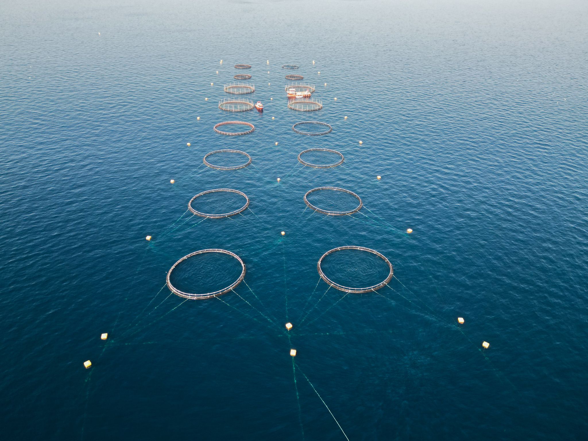 Wide aerial view of multiple aquaculture pens arranged in a grid, connected by a structured mooring system in exposed offshore conditions.
