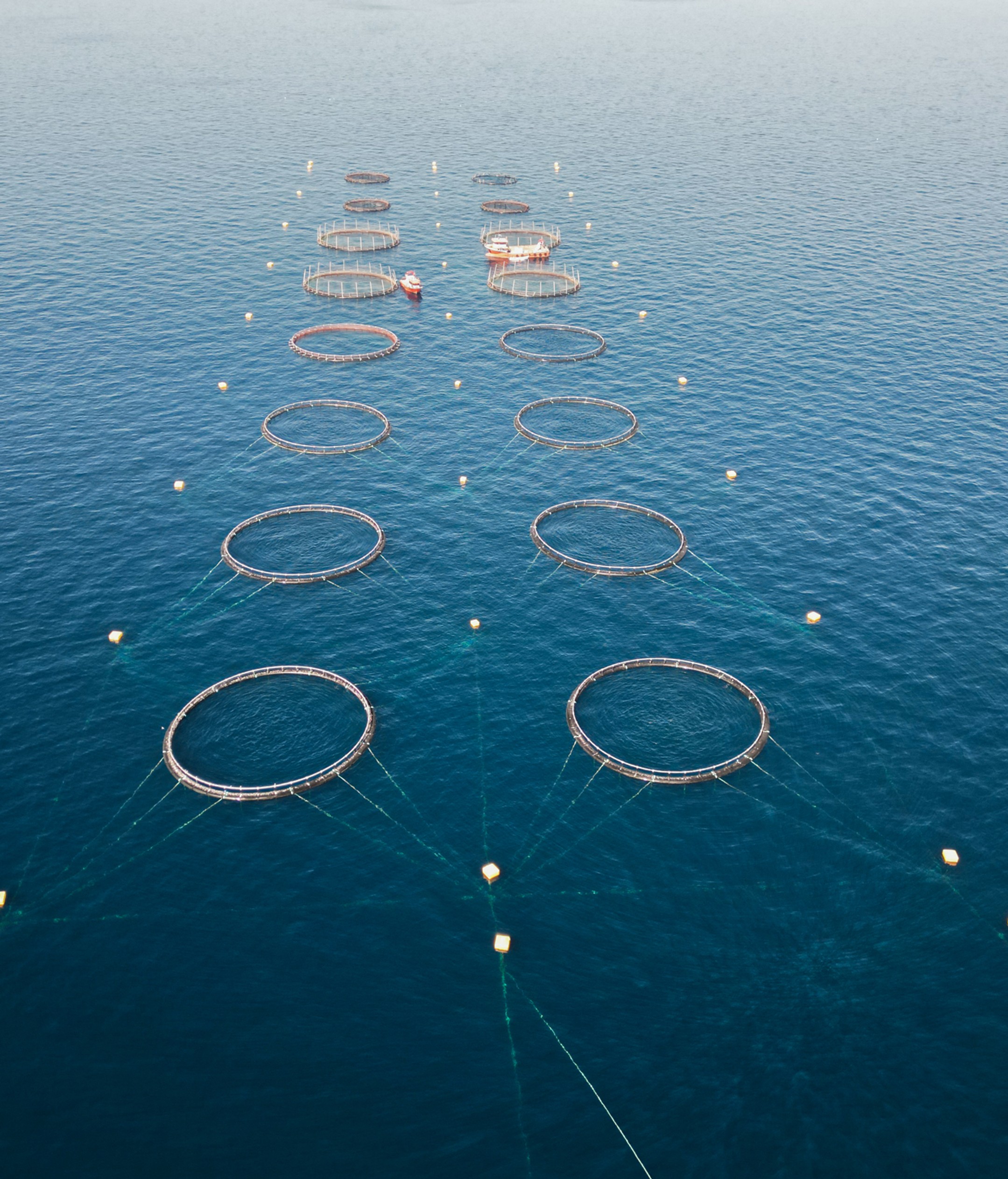 Wide aerial view of multiple aquaculture pens arranged in a grid, connected by a structured mooring system in exposed offshore conditions.