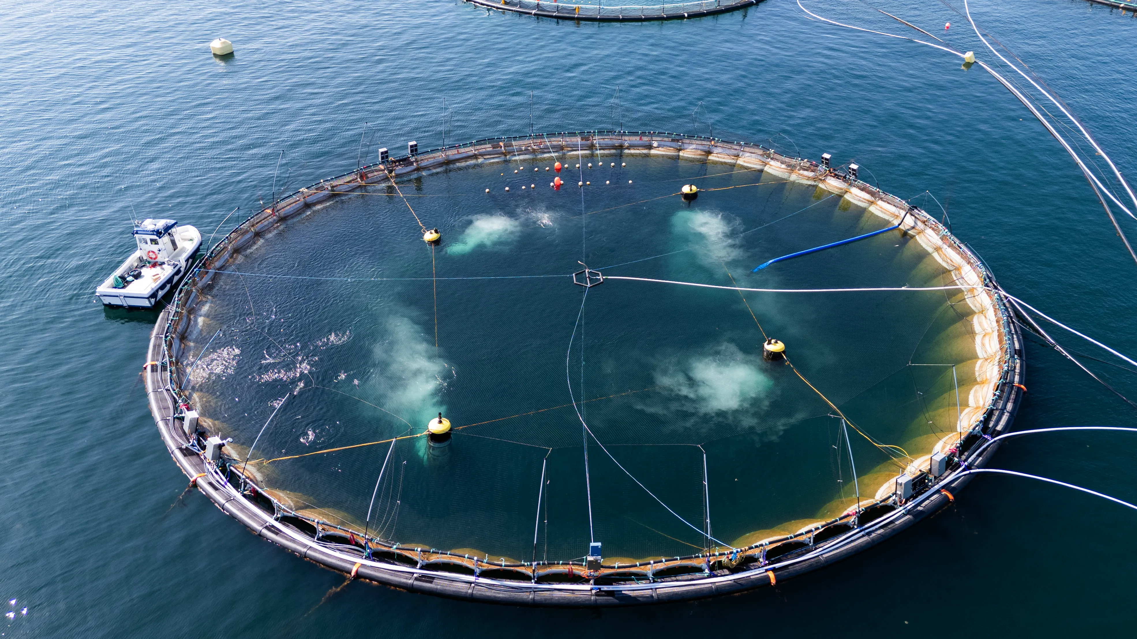 Drone footage of the MarWall system installed