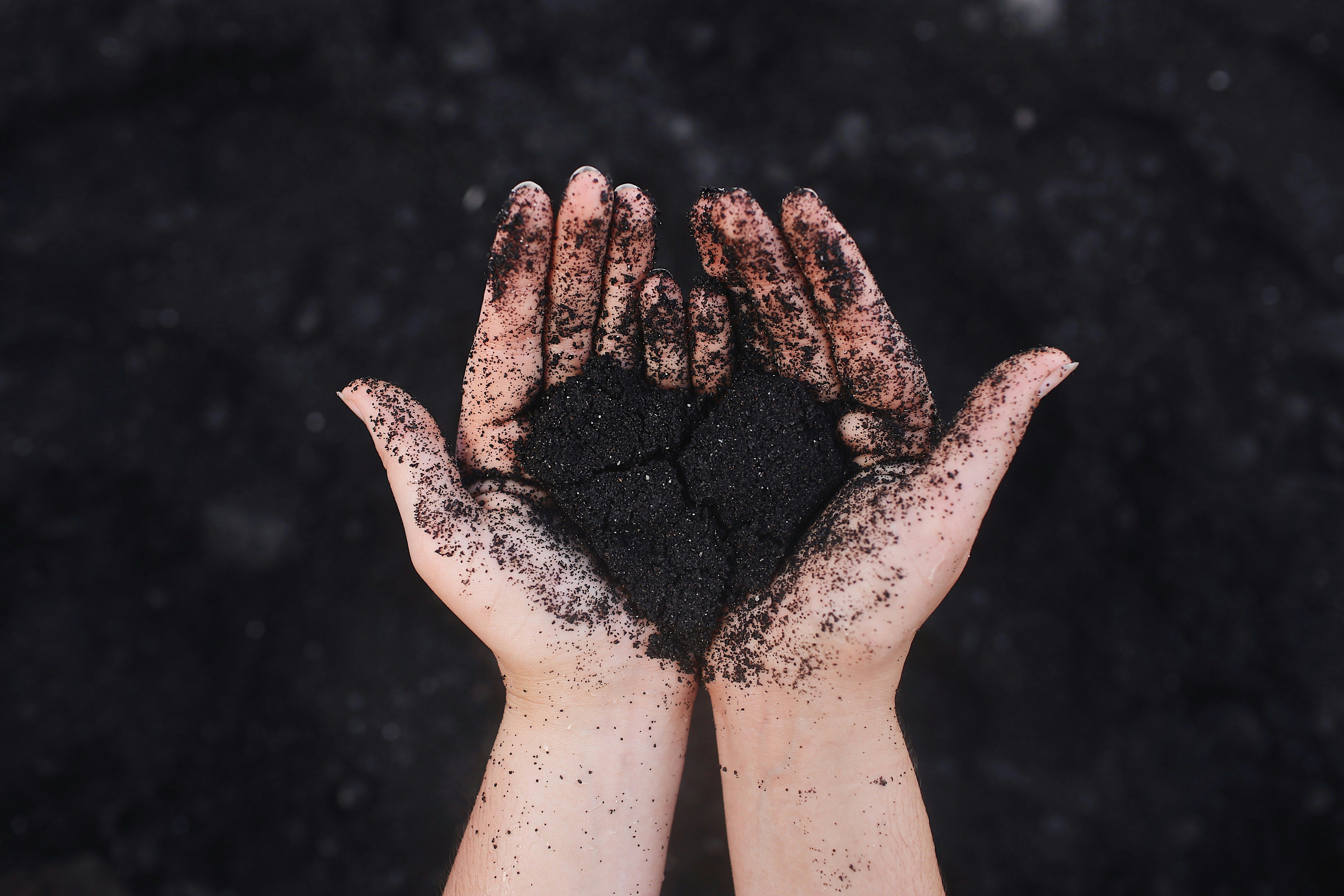 Cupped hands holding dark soil against a blurred background, symbolising environmental responsibility and stewardship in carbon accounting