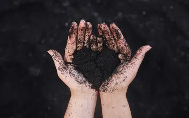 Cupped hands holding dark soil against a blurred background, symbolising environmental responsibility and stewardship in carbon accounting
