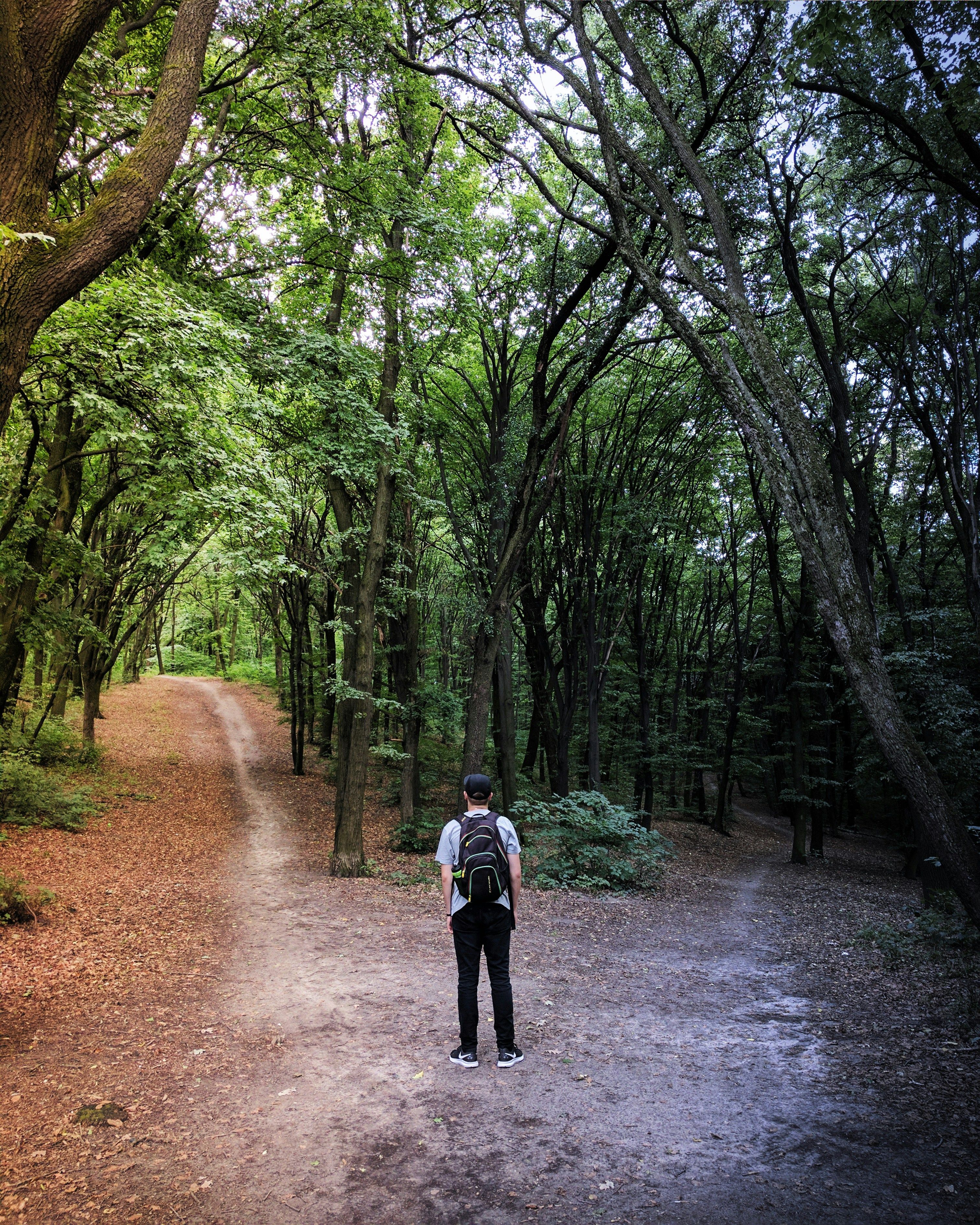 Person standing at forest crossroads between two diverging paths, one sunlit and well-maintained, the other shadowed and less defined