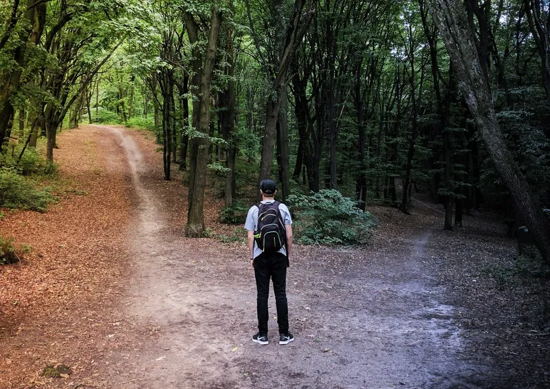 Person standing at forest crossroads between two diverging paths, one sunlit and well-maintained, the other shadowed and less defined