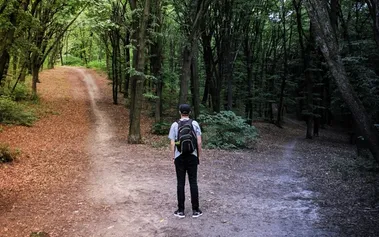 Person standing at forest crossroads between two diverging paths, one sunlit and well-maintained, the other shadowed and less defined