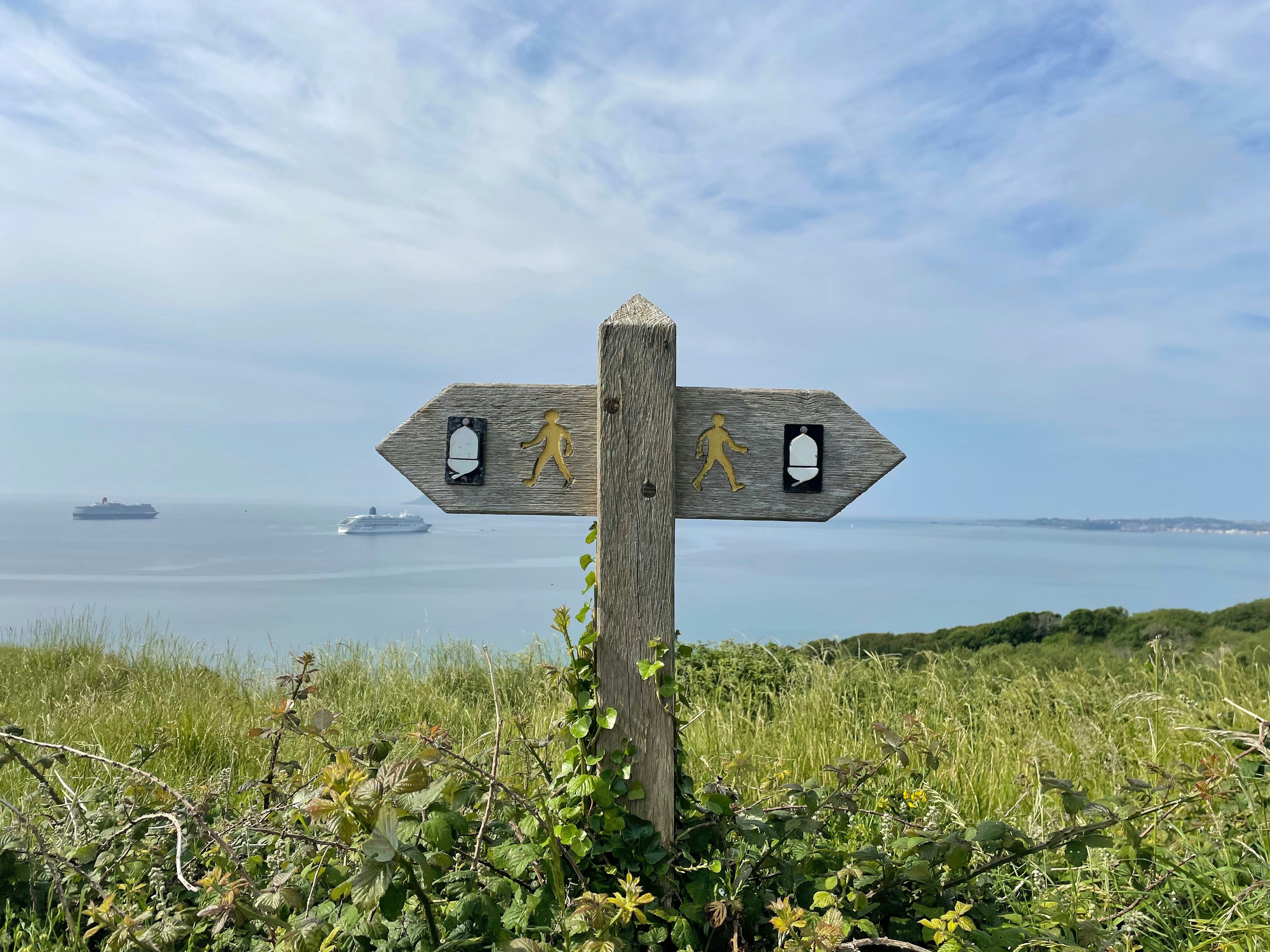 Wooden signpost showing two directions, representing the choice between analytical data and intuitive decision-making