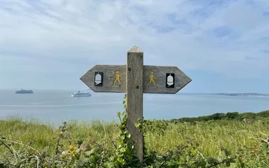 Wooden signpost showing two directions, representing the choice between analytical data and intuitive decision-making