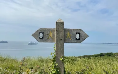 Wooden signpost showing two directions, representing the choice between analytical data and intuitive decision-making