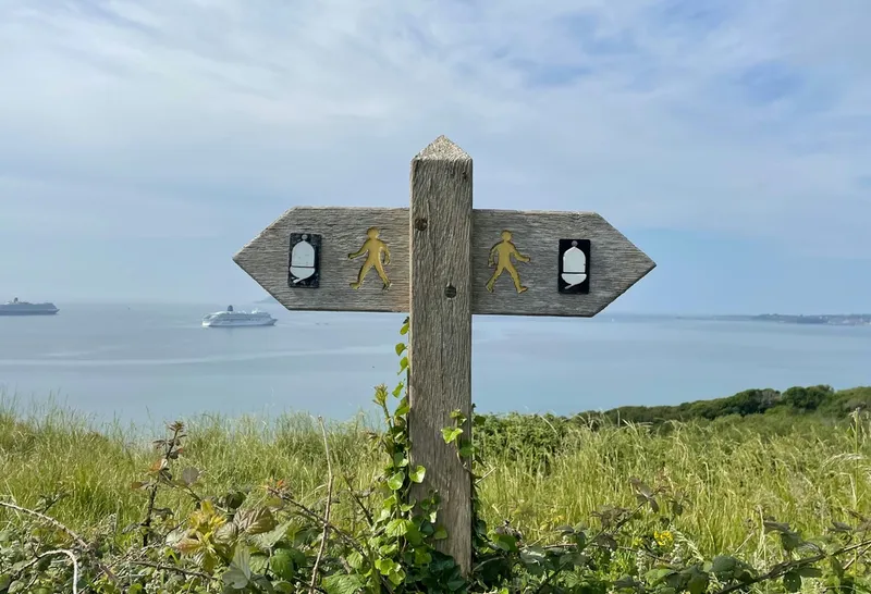 Wooden signpost showing two directions, representing the choice between analytical data and intuitive decision-making