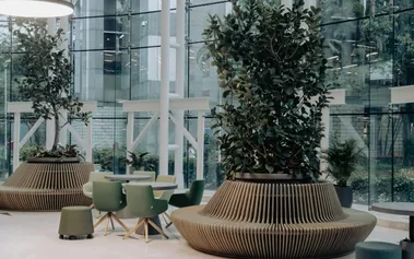 Contemporary business meeting space with natural elements, symbolising the integration of sustainability strategy into modern corporate decision-making