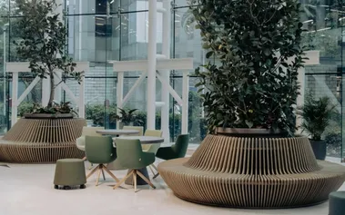 Contemporary business meeting space with natural elements, symbolising the integration of sustainability strategy into modern corporate decision-making