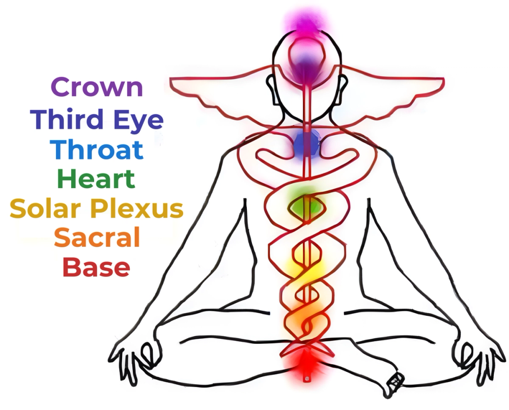 Meditating figure with seven chakra points labeled along the spine