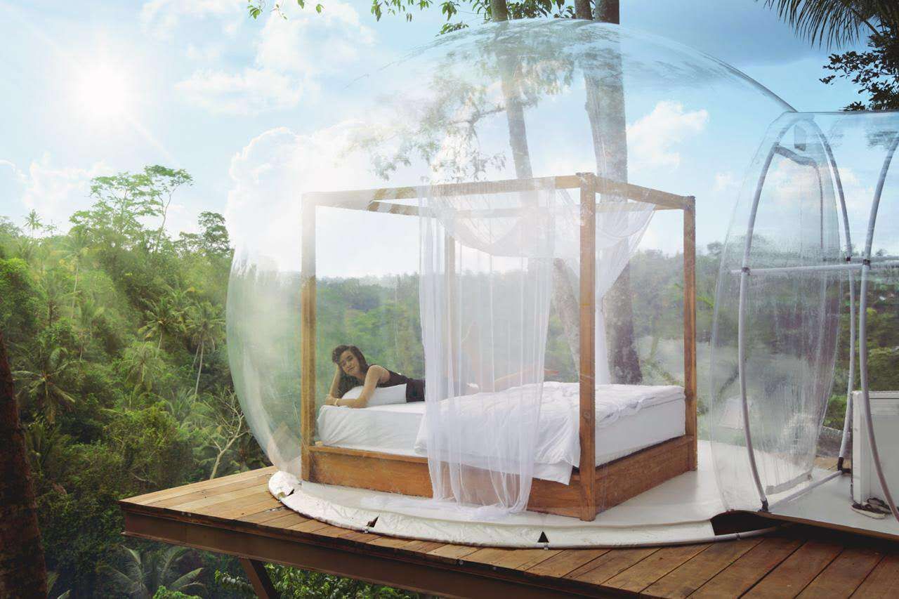 清晨陽光從蚊帳灑進來的一幕——這個場景是 Picheaven 的代表作