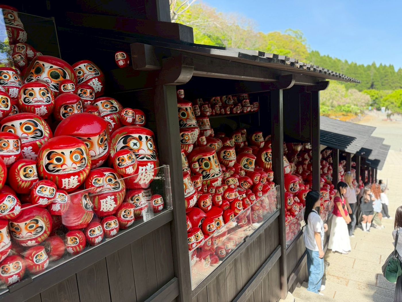 園區入口的達摩紀念品店——每個大小、款式都有,選一隻你有眼緣的帶走