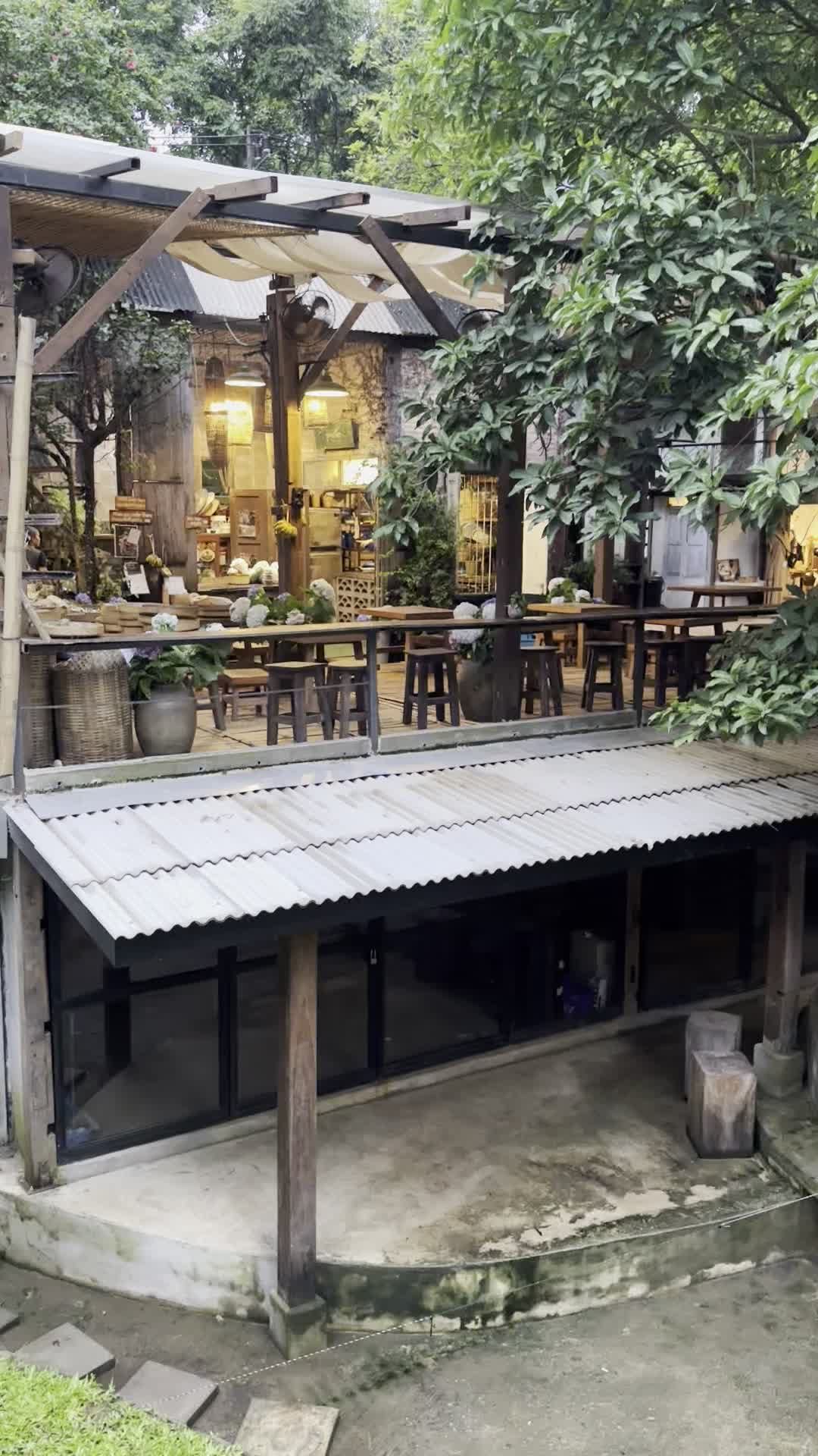 開放式座位,頭頂就是樹蔭,偶爾一陣風吹過來剛剛好