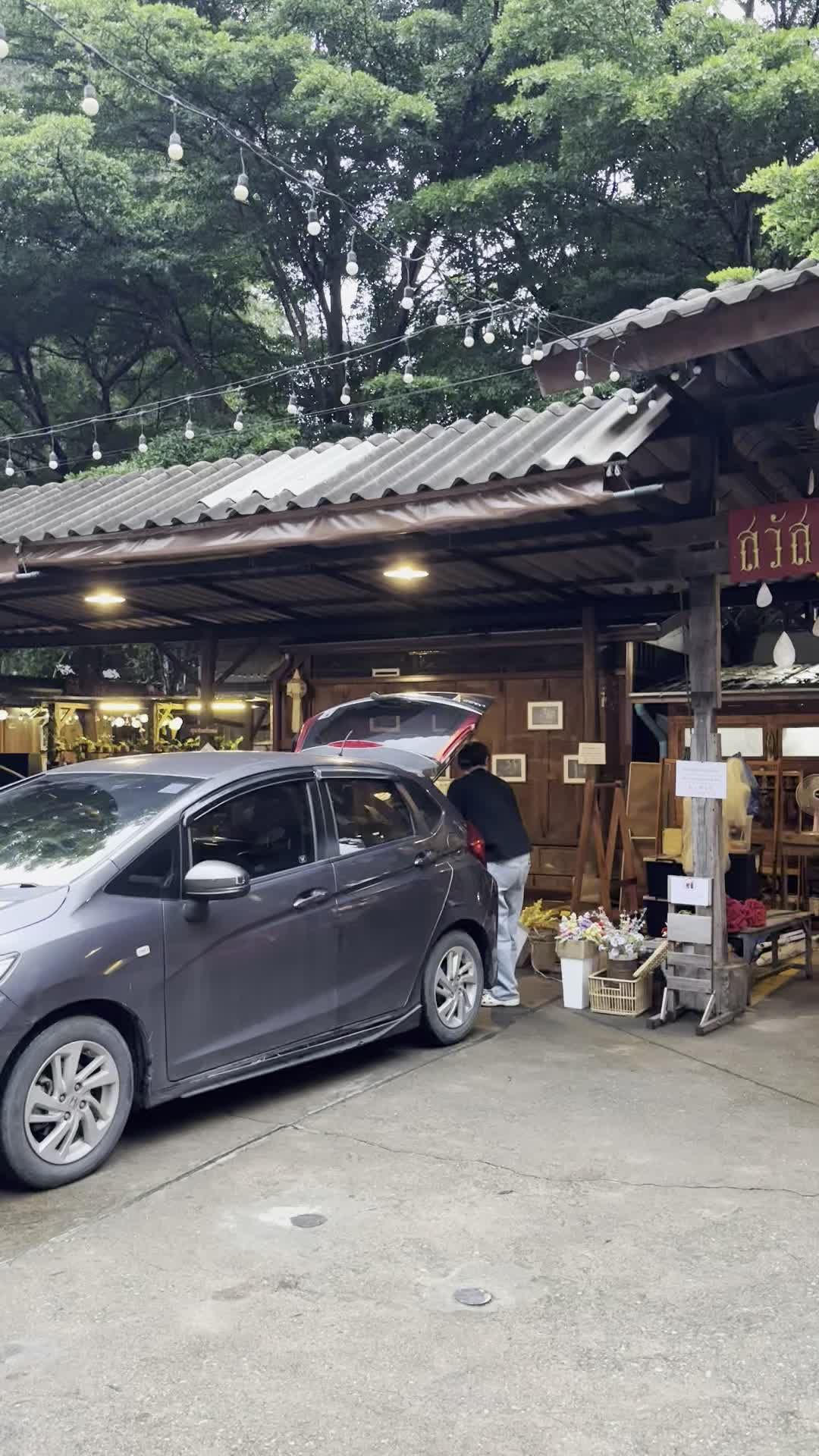 燈光一盞盞點起來,整個村子的氛圍完全換了一個樣子