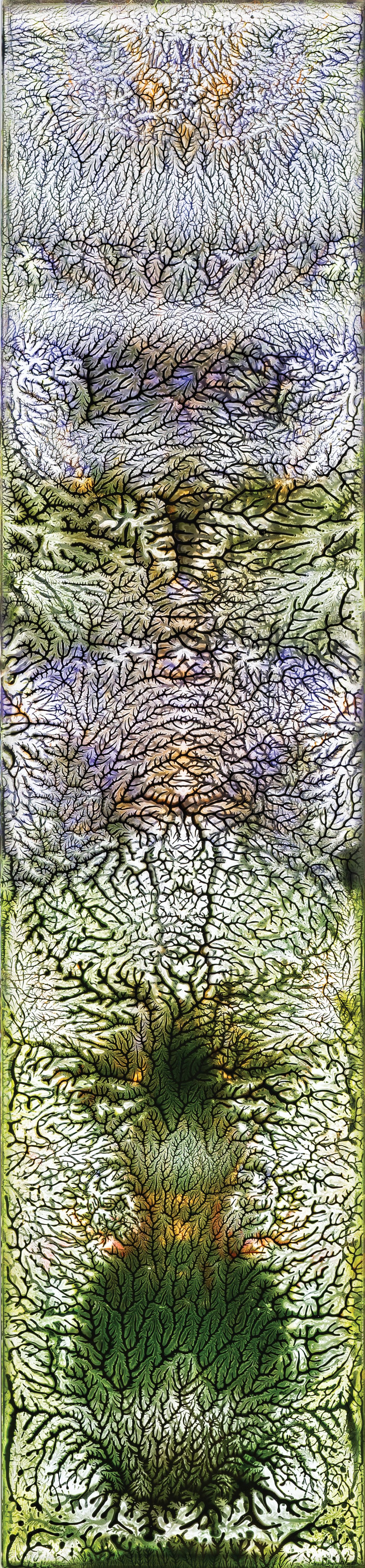 Ecstatic Light (Ascension)