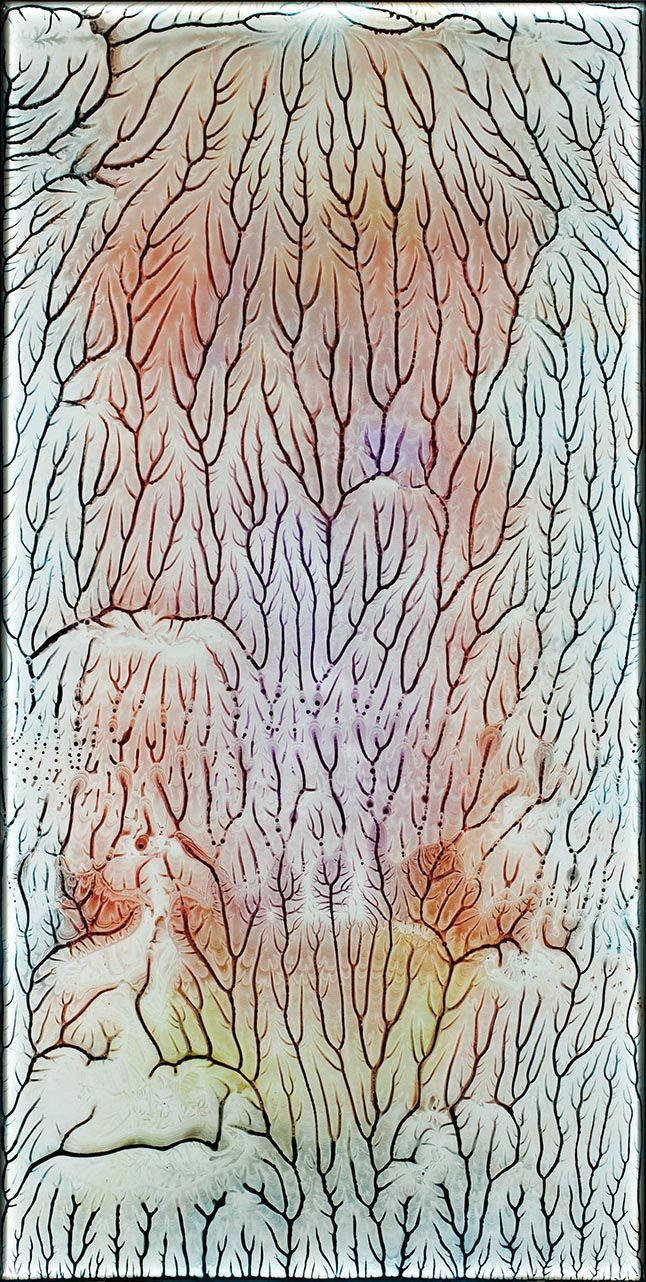 Primal Flow Red/Yellow/Violet/Cerulean