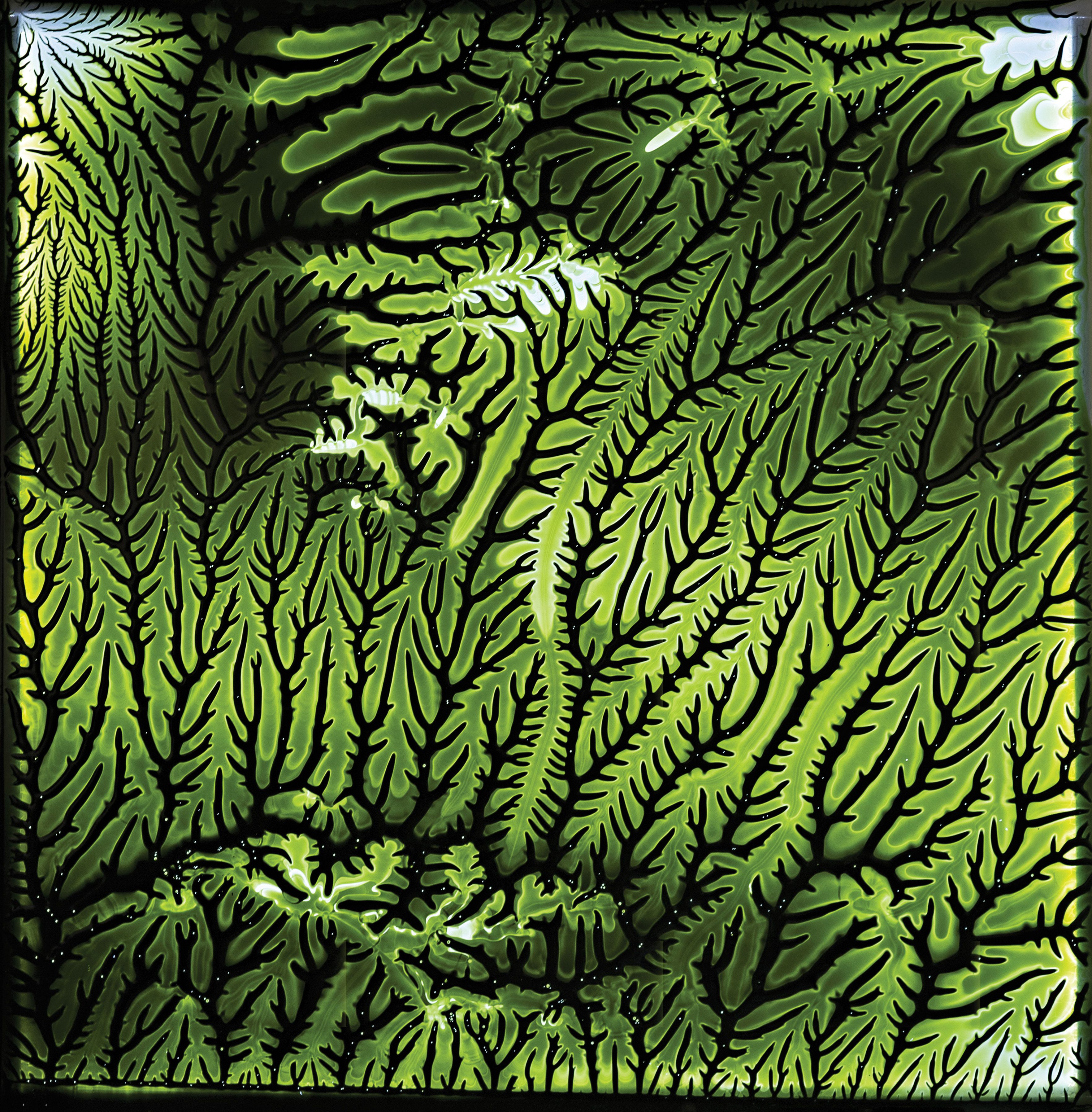 Proof of Concept – 2007