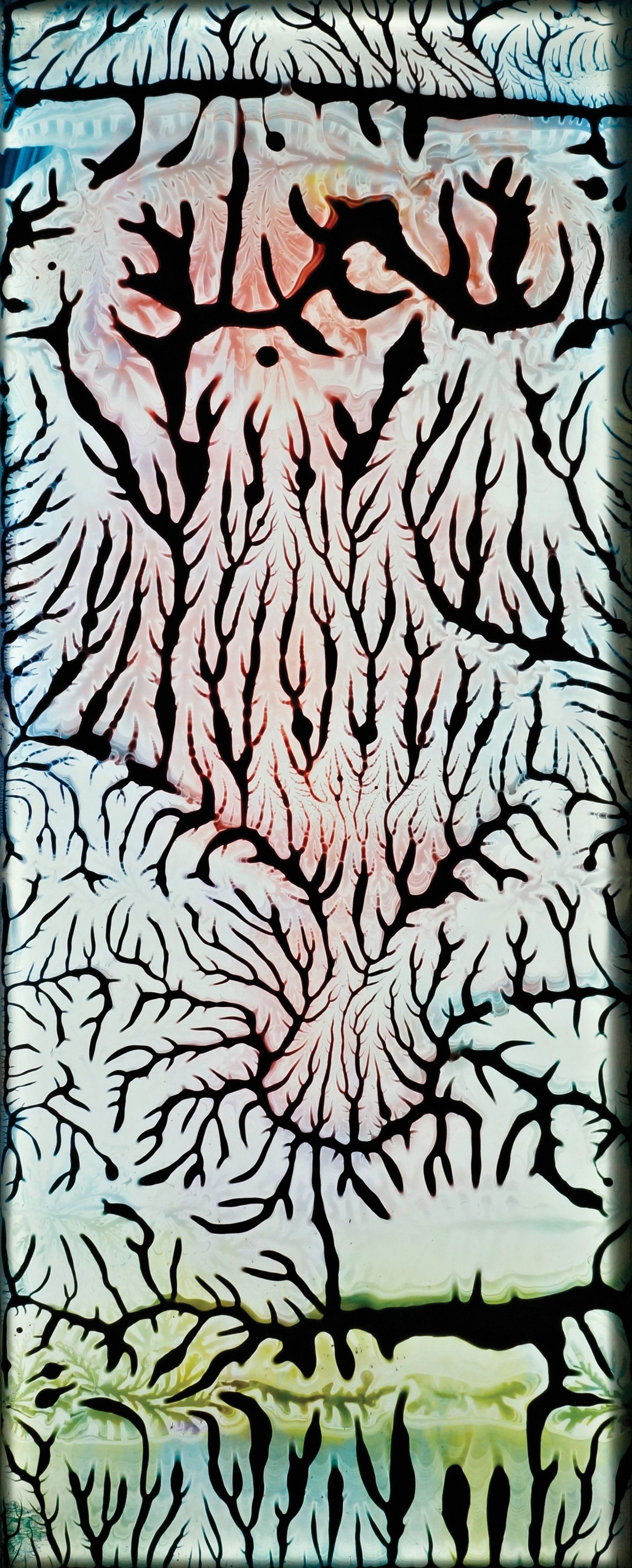 NYPL Small Inside Cobalt/Red/Green