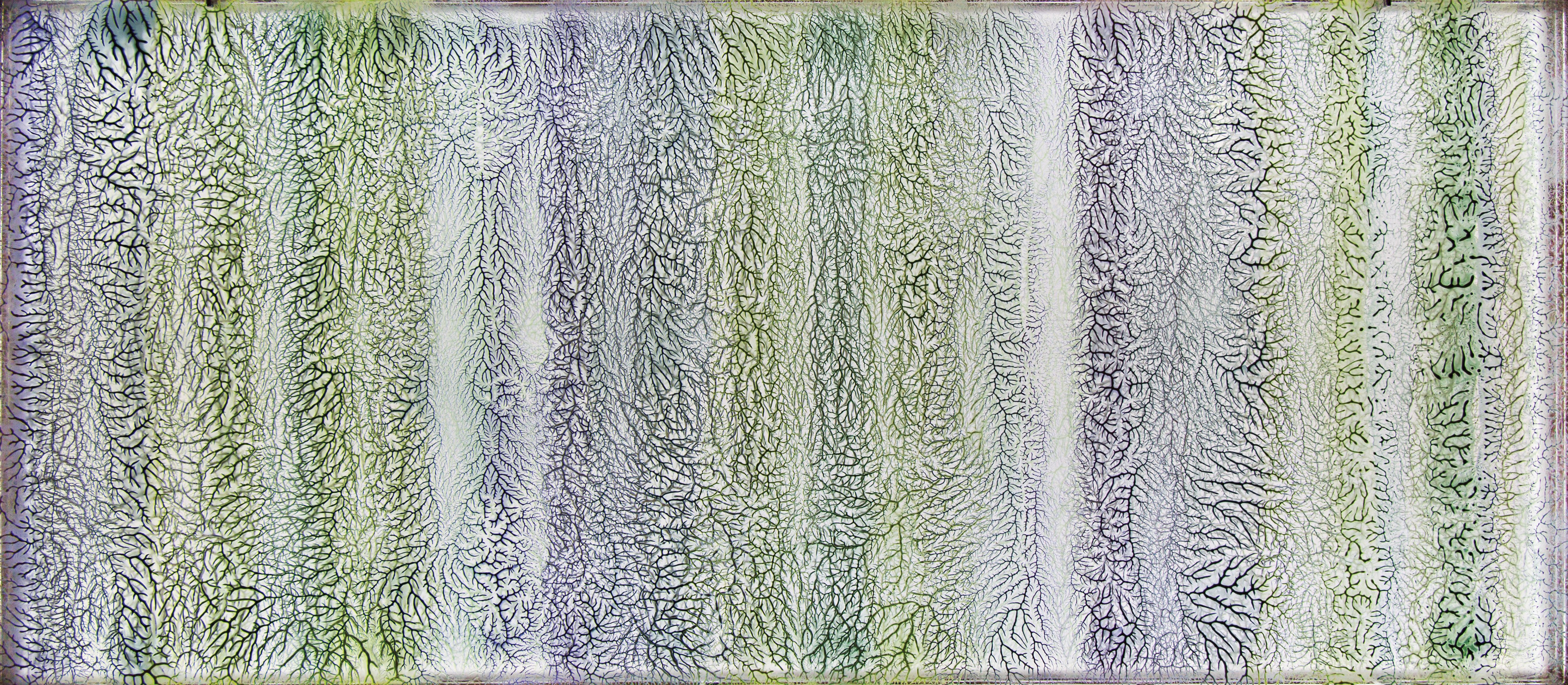 Subtle Shifts in Attitude and Behavior