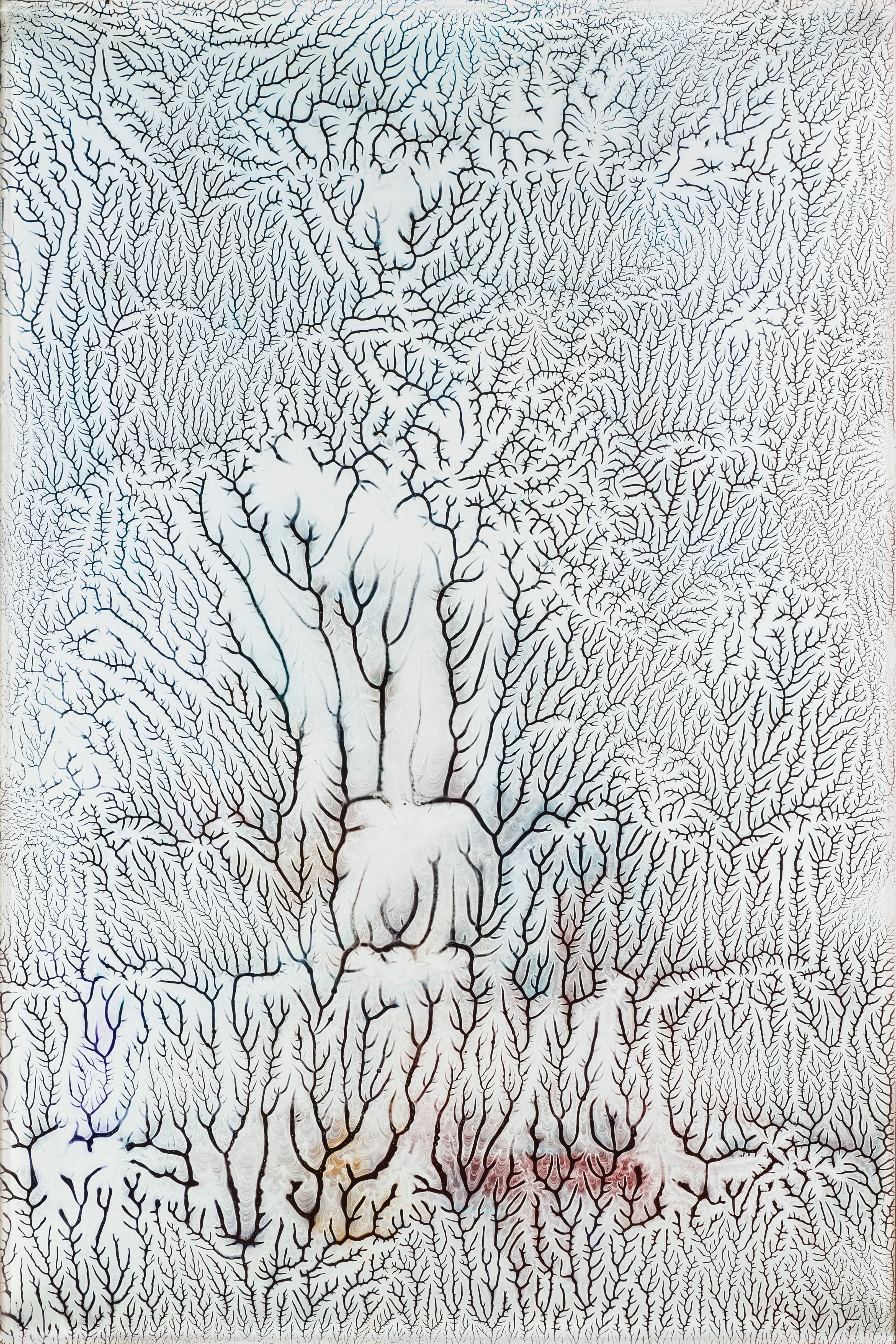 Ecstatic Light/Winter